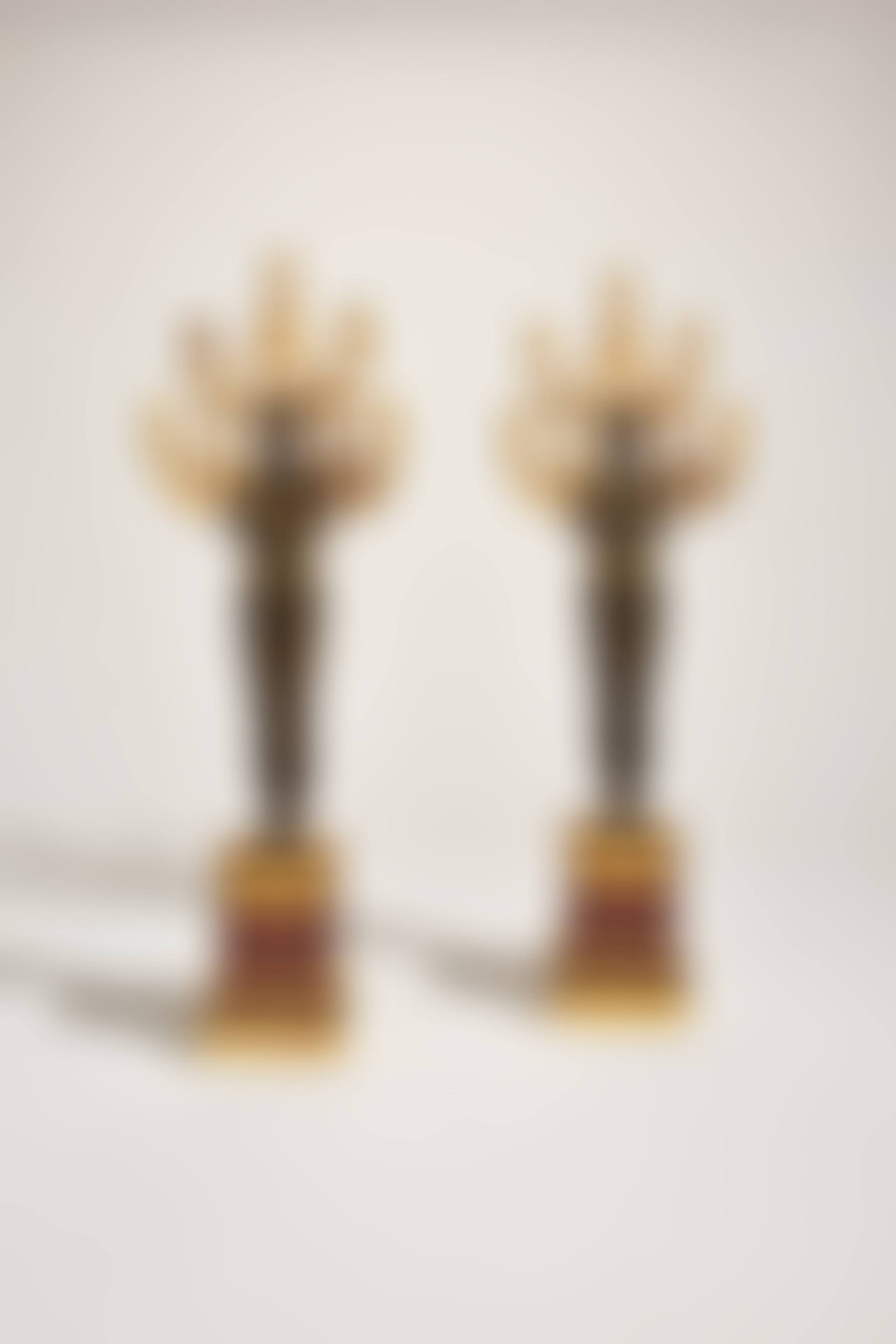POSSIBLY BY CLAUDE GALLE, CIRCA 1800, THE ARMS LATER (preview)