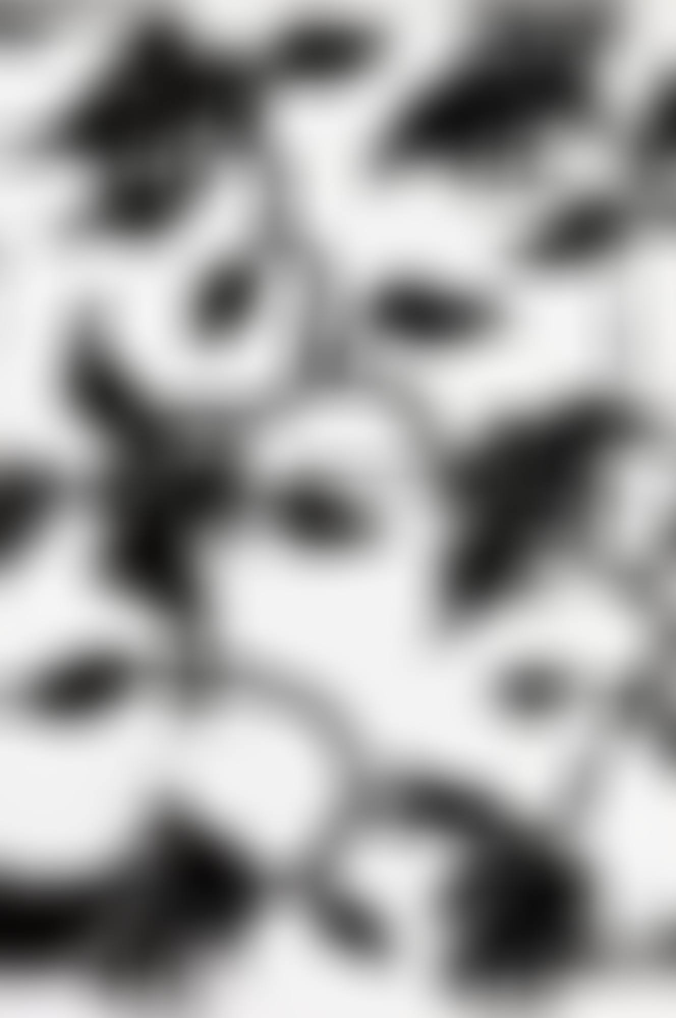 UNTITLED (S52) (preview)