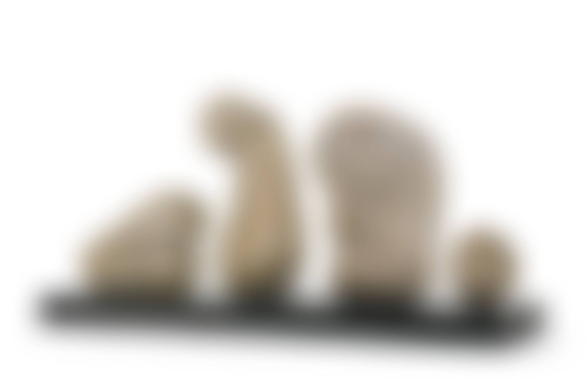 HEAD IN EXTENDED ORDER (preview)