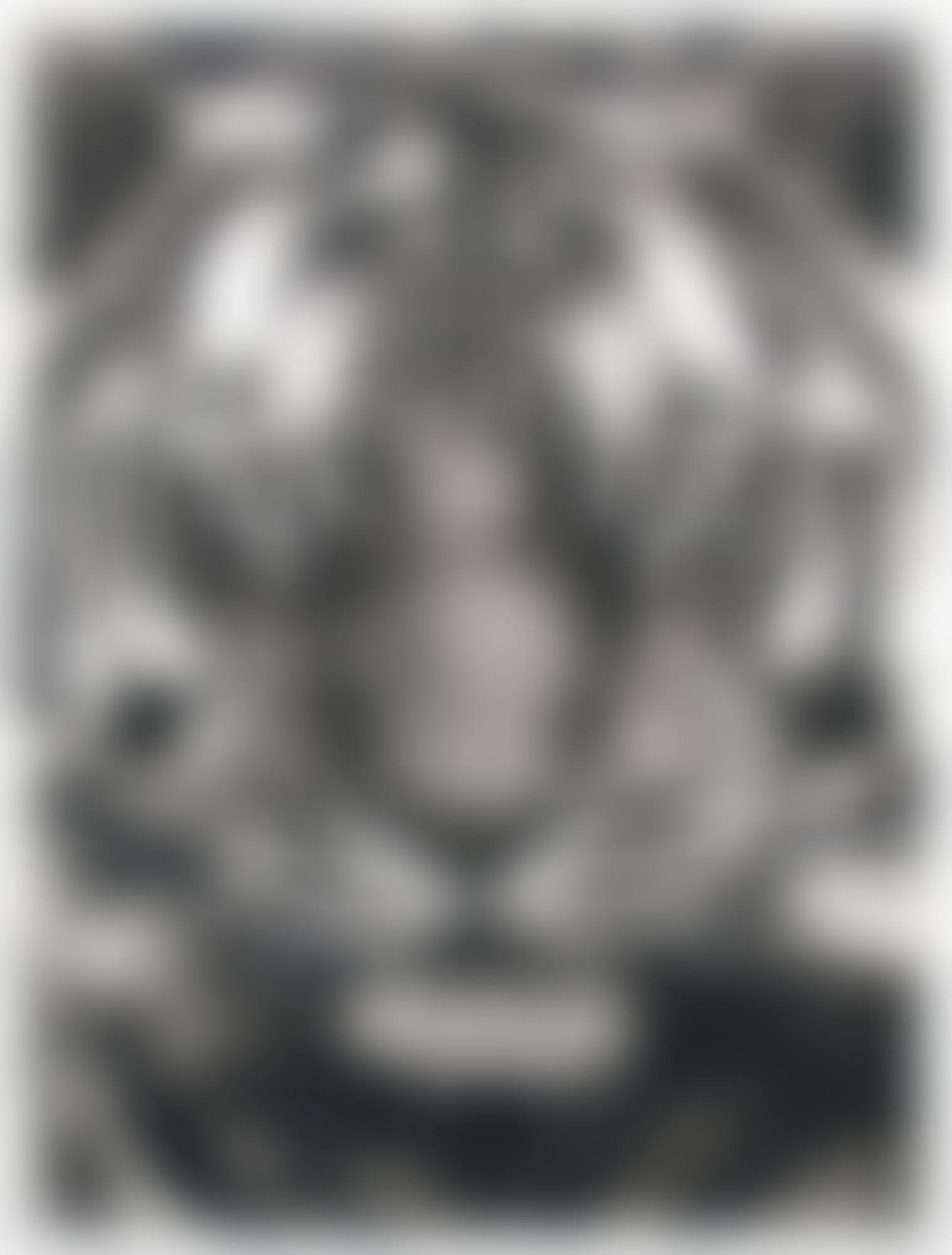 STUDY FOR LAST TIGER 4B (preview)