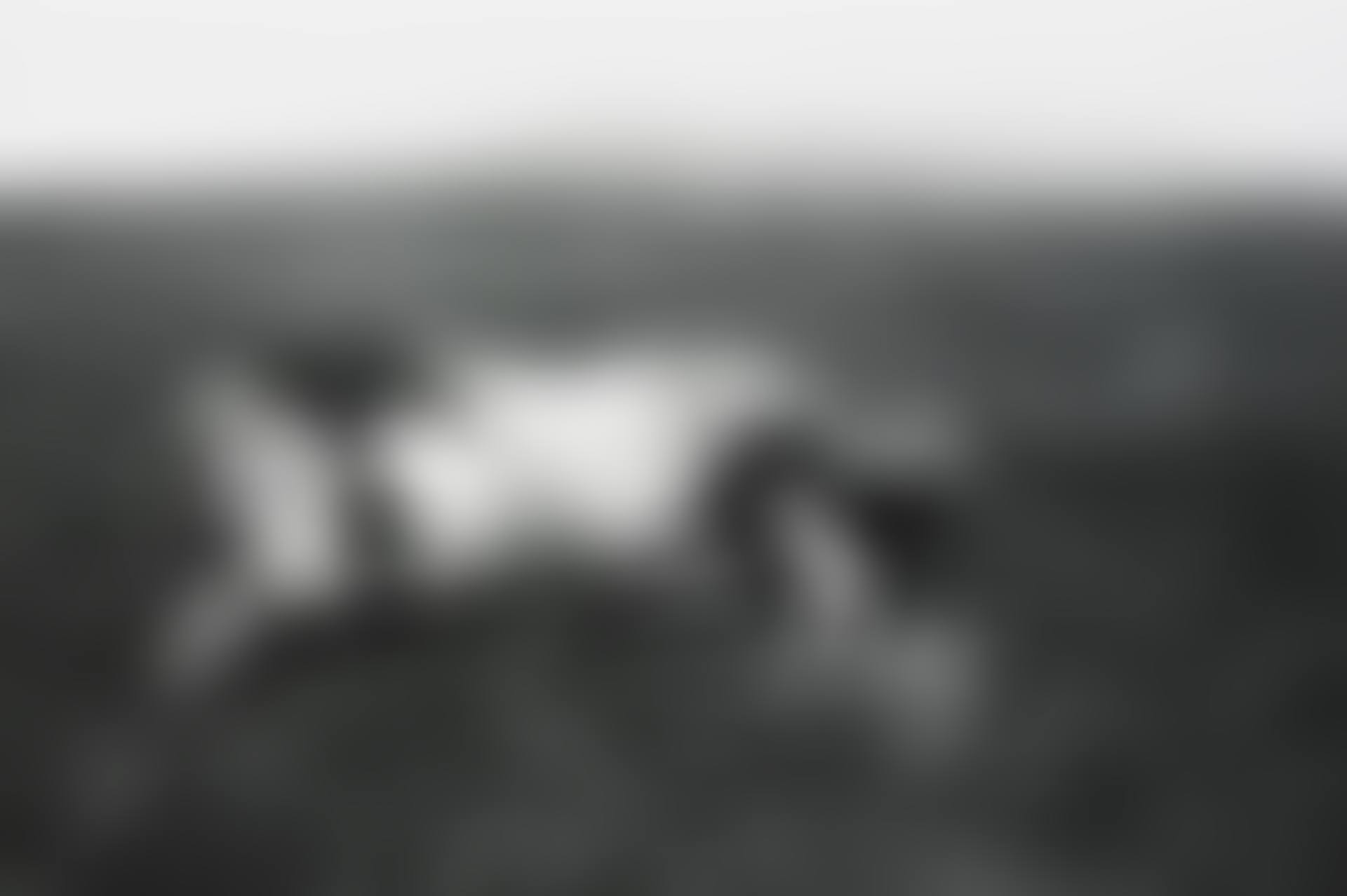WELSH MINERS' (preview)