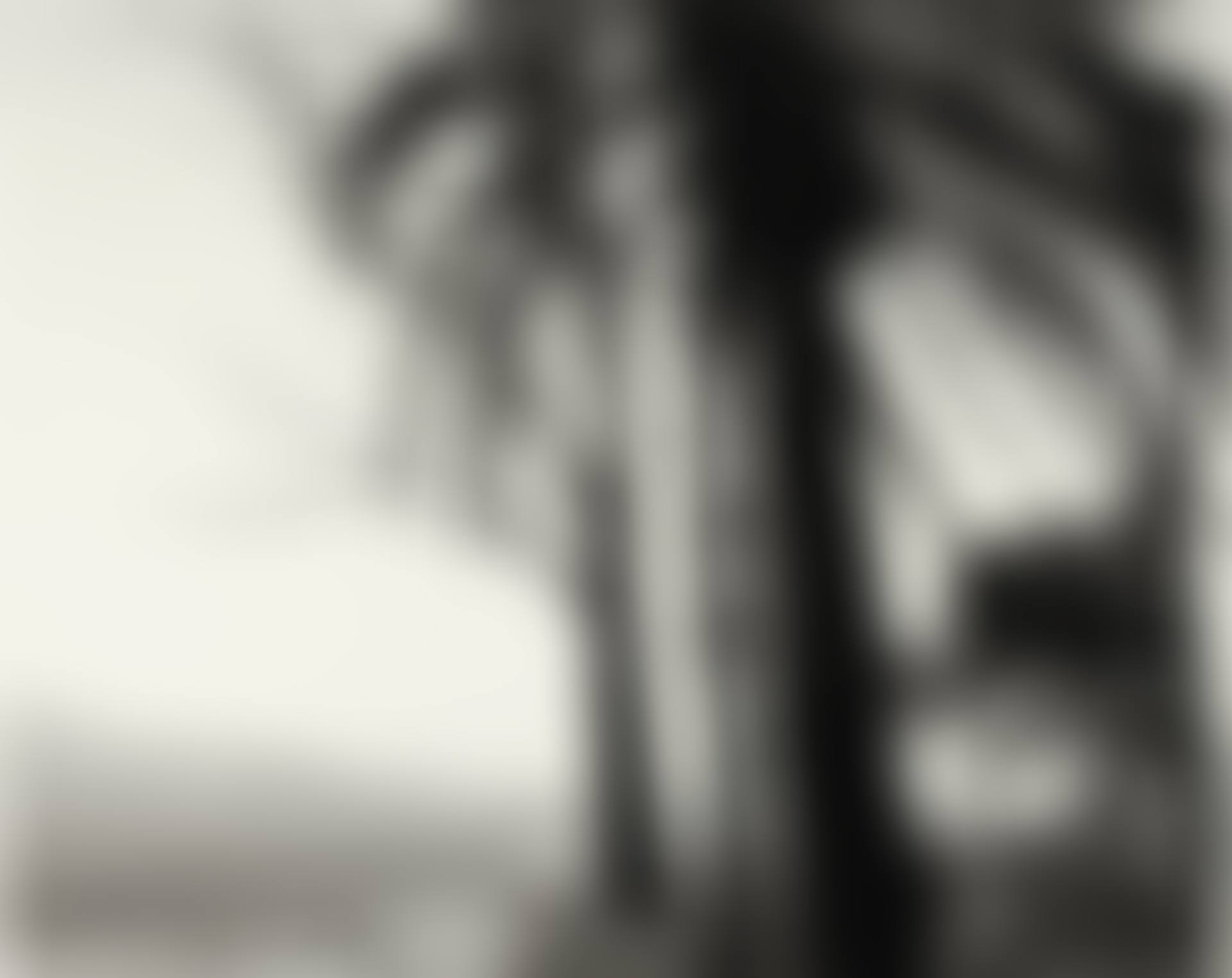 LOOKING TOWARD LOS ANGELES ACROSS SAN TIMOTEO CANYON, SAN BERNARDINO COUNTY, CALIFORNIA' (REDLANDS) (preview)