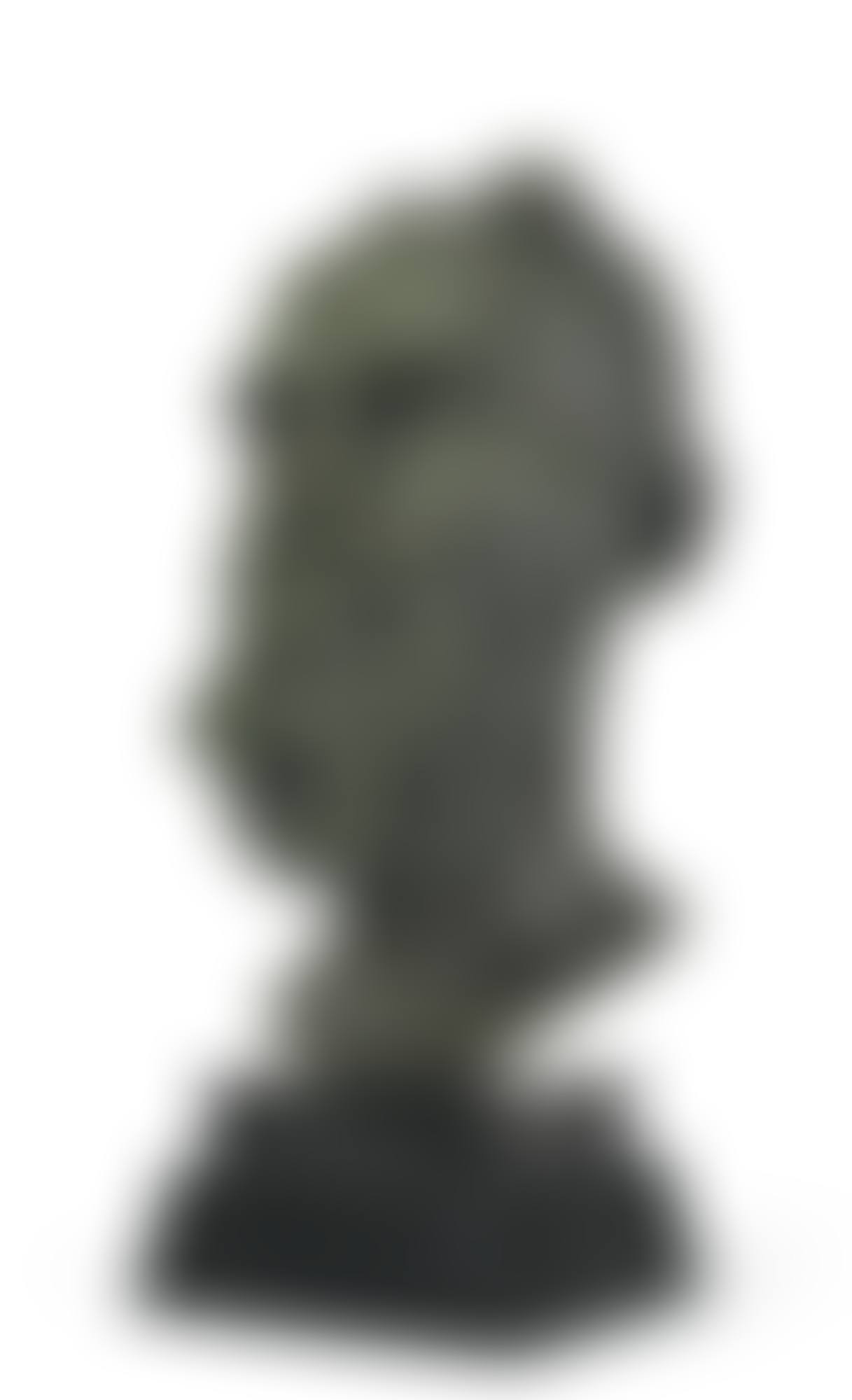 SECOND PORTRAIT OF GEORGE BERNARD SHAW (HEAD) (preview)
