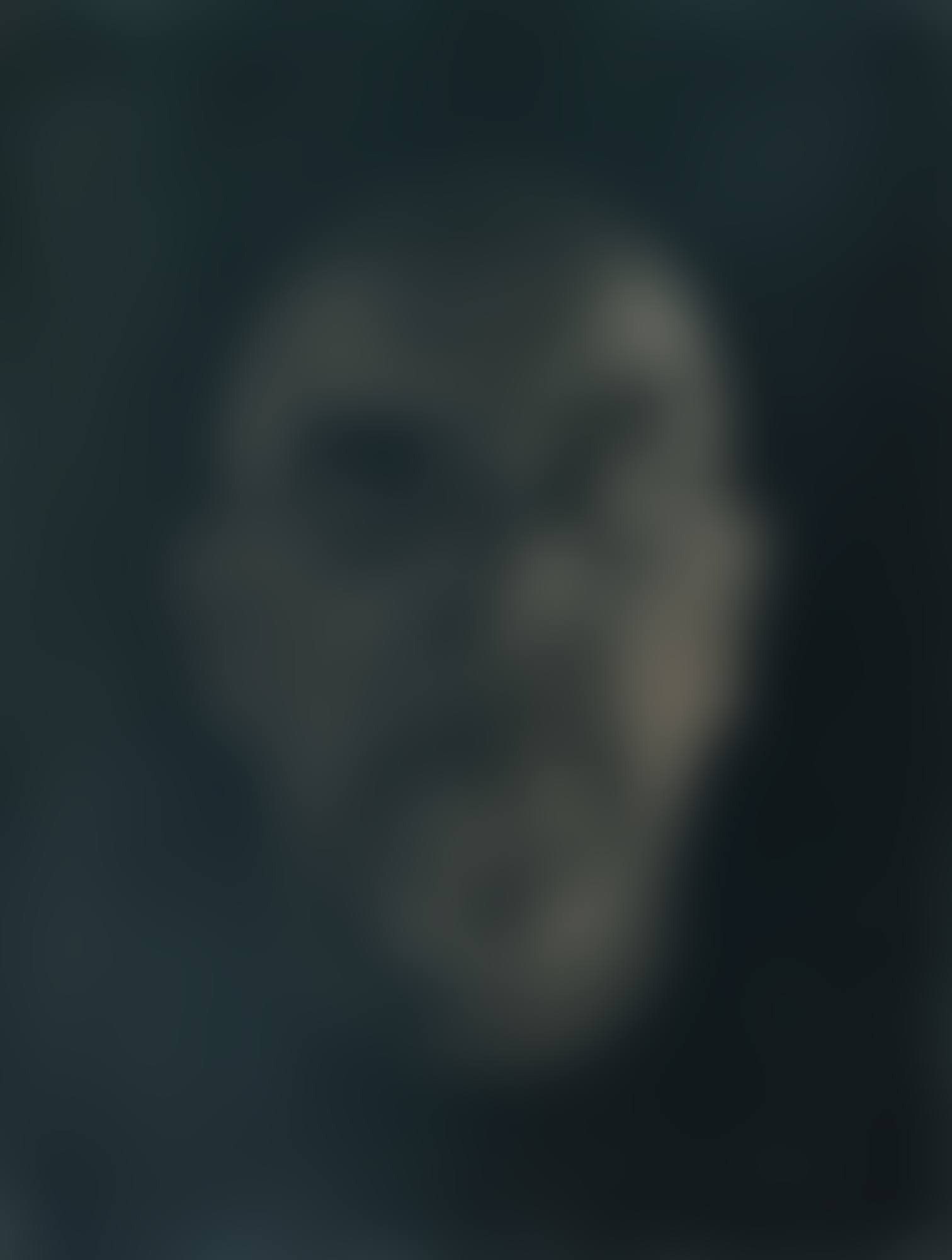 SELF PORTRAIT' (preview)