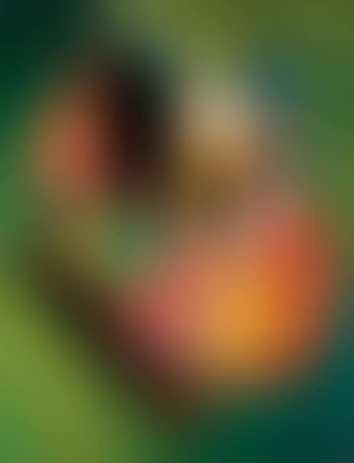 Noctambules (preview)