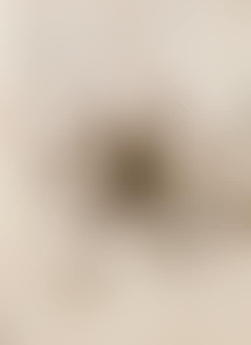 Fetus movement II: Projects for Extraterrestrials No.9 (preview)