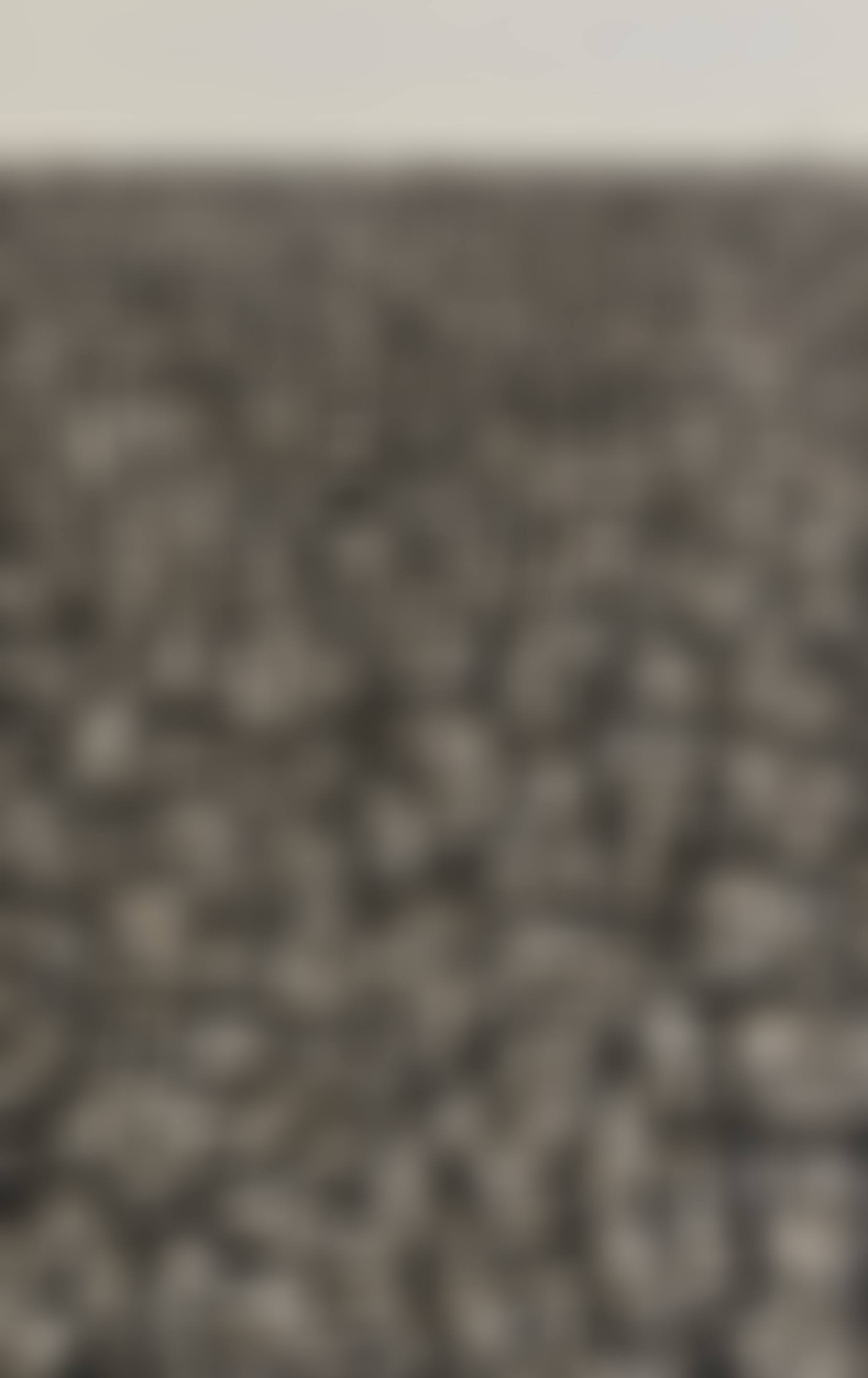 Multitud (preview)