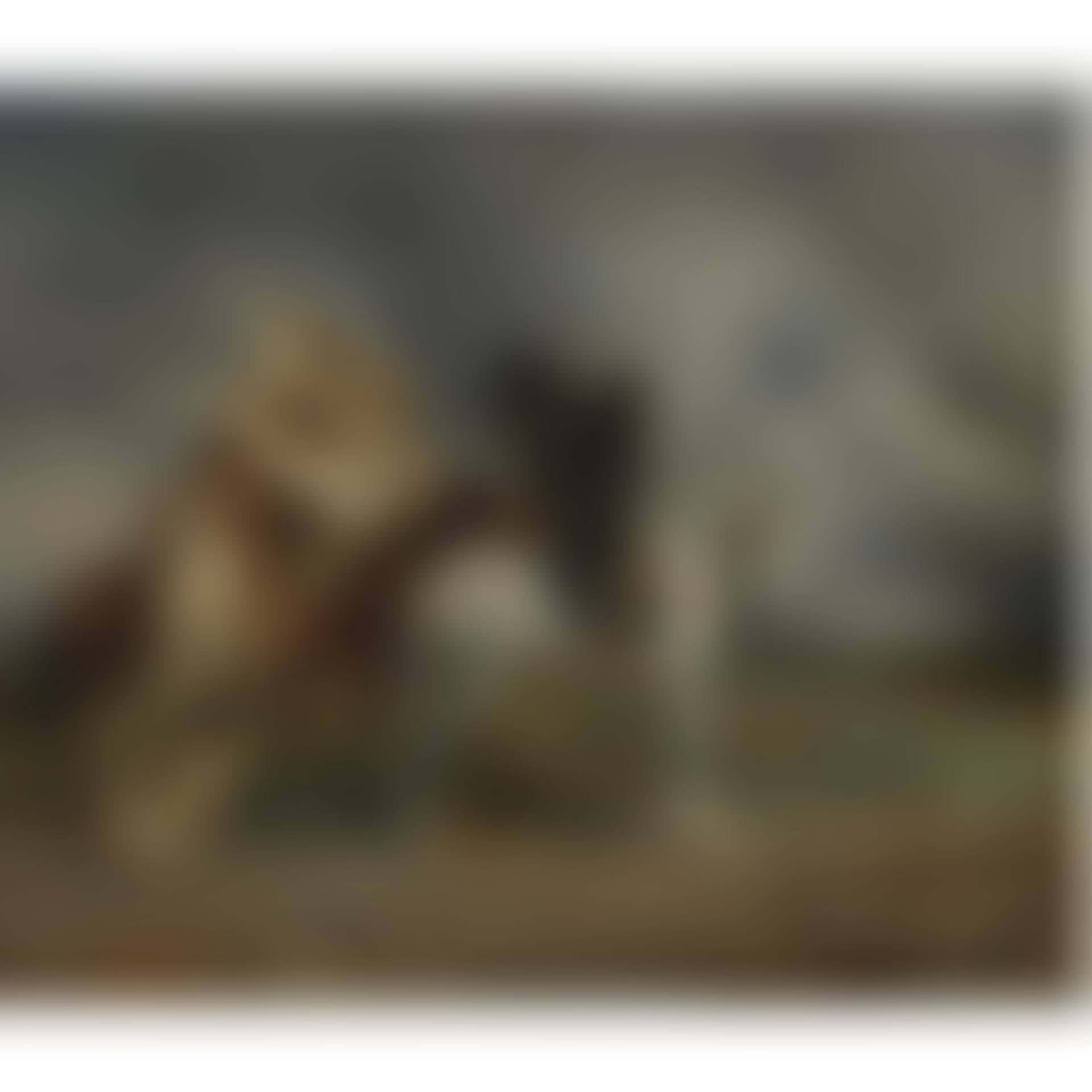 Le Simoun (preview)