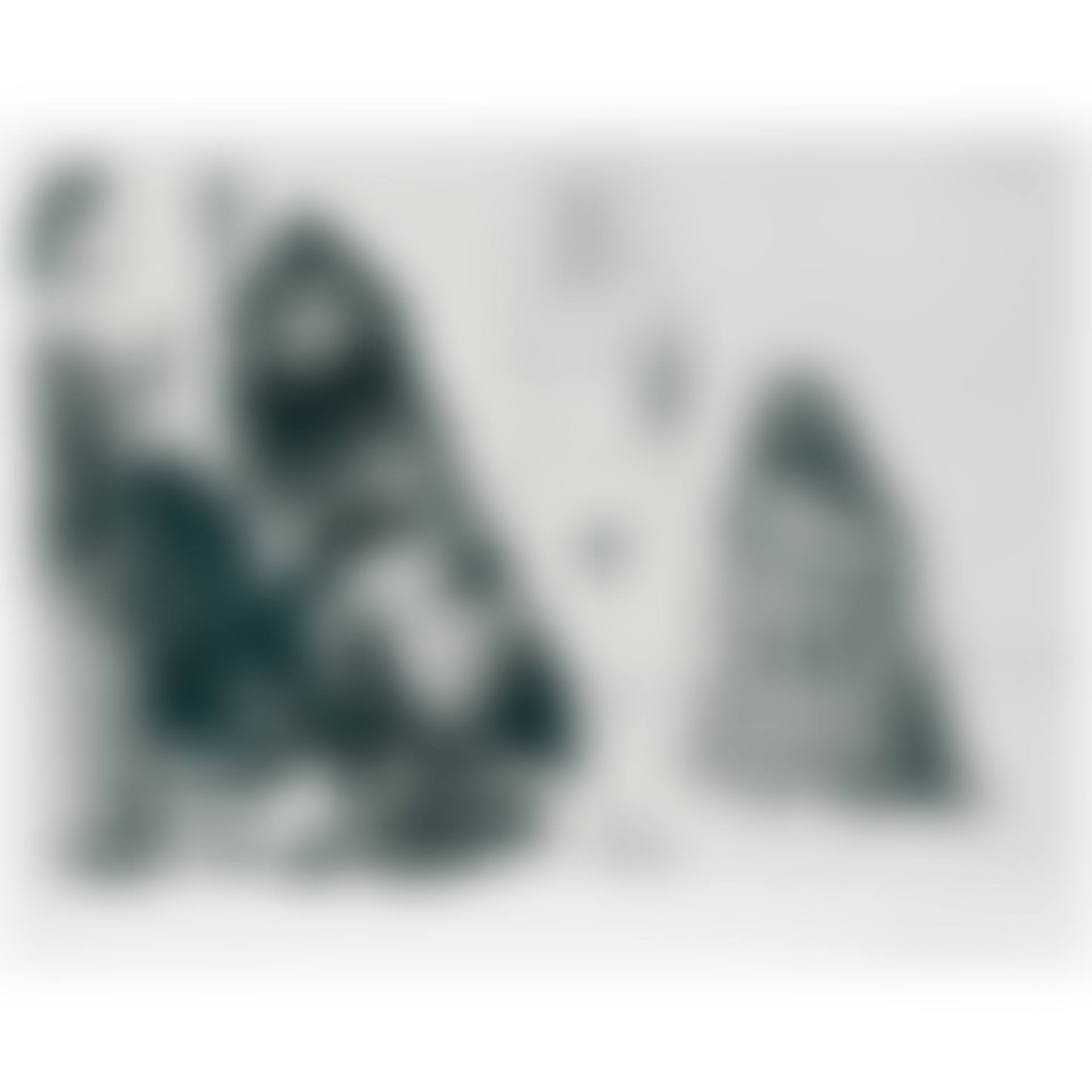 Jeune Homme Faisant Sa Declaration En Presence Des Autorites (B. 1594) (preview)