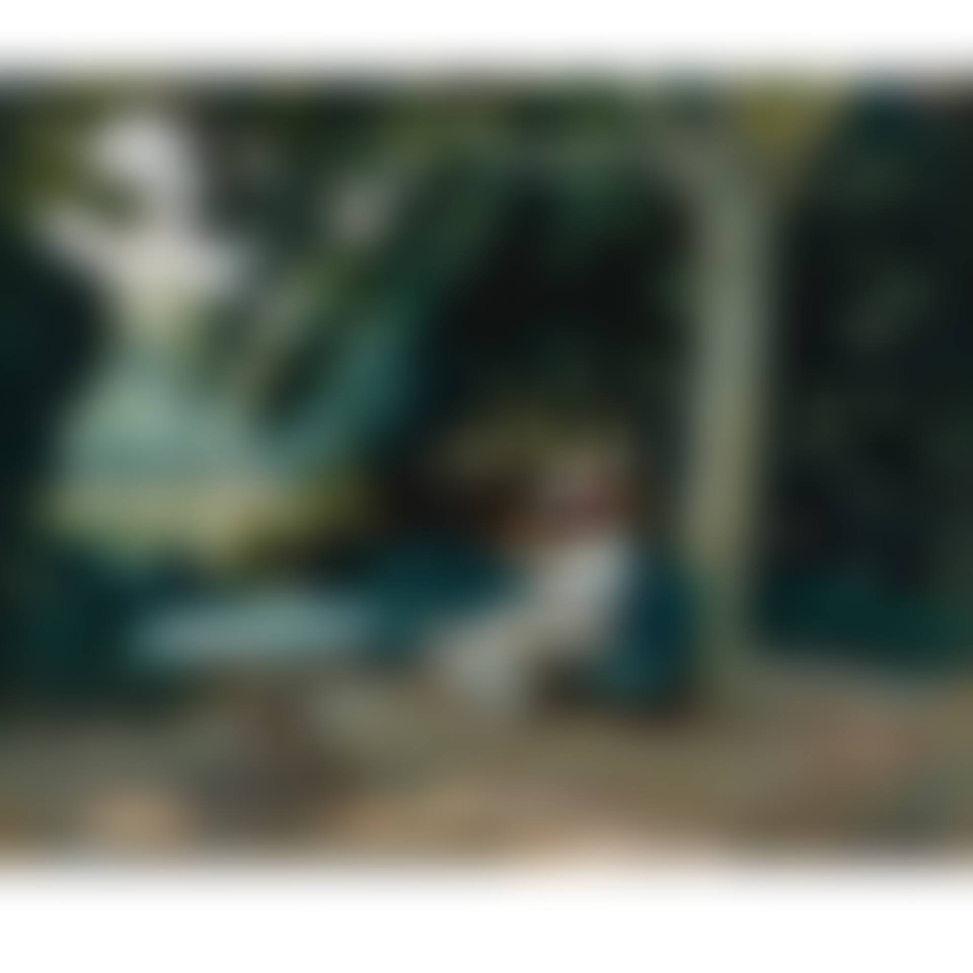 La Lecture Au Jardin (preview)
