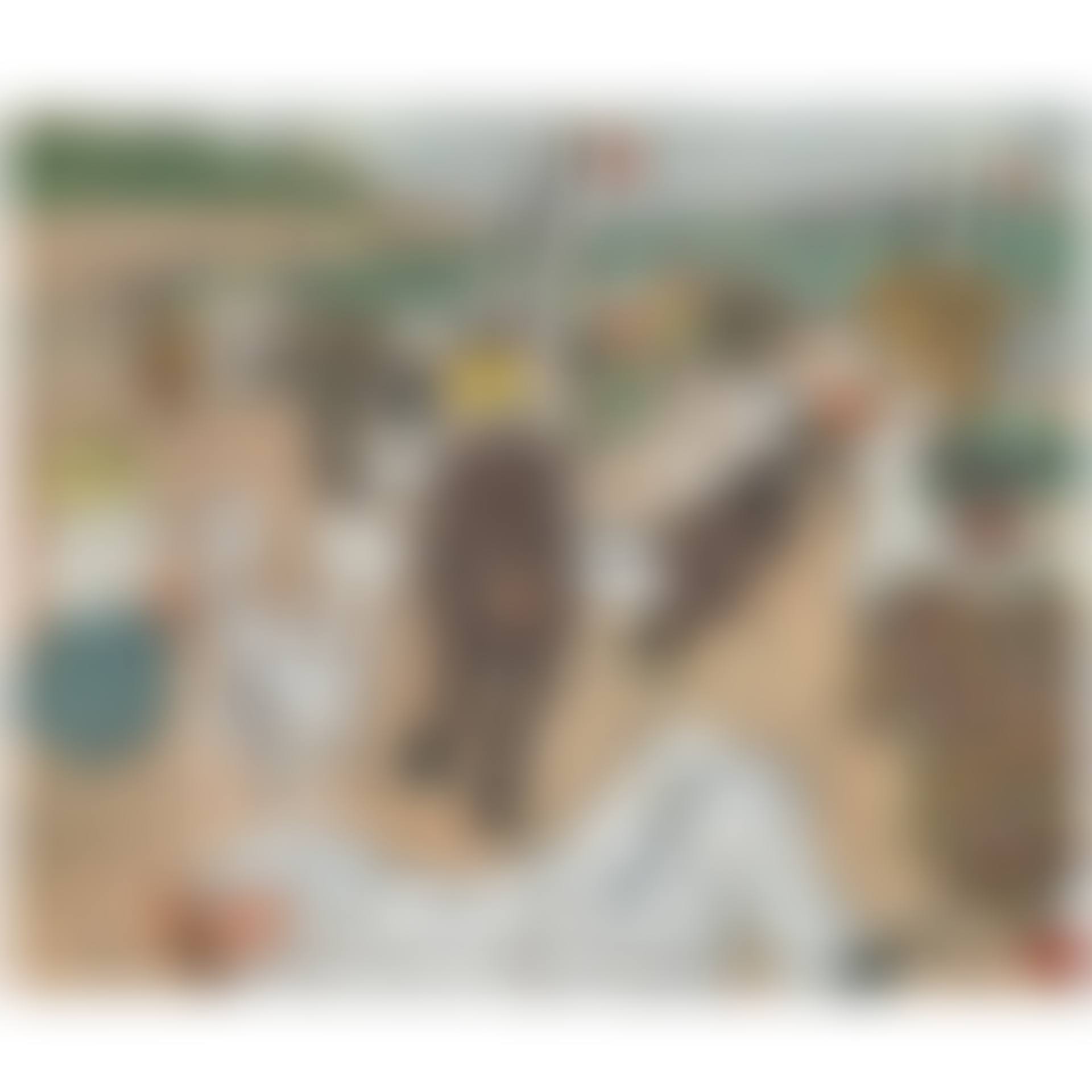 Plage Du Midi (preview)
