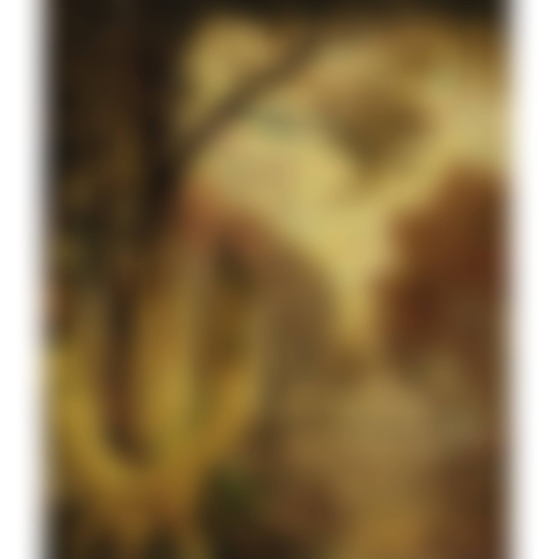 Louisiana Bayou (preview)