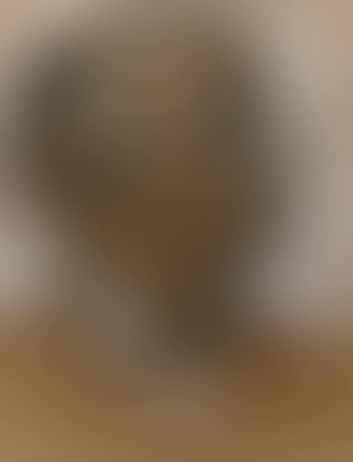 A self portrait (preview)