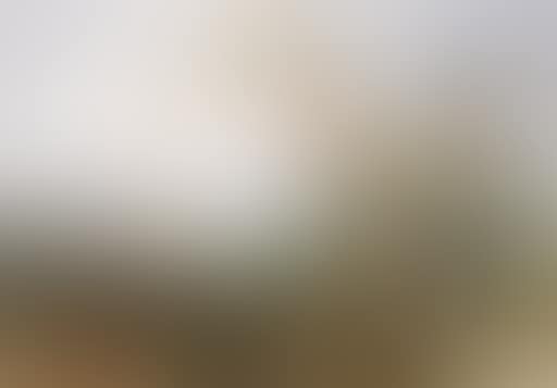 An Australian coastal landscape (preview)