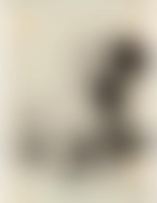 A Sealyham terrier (preview)
