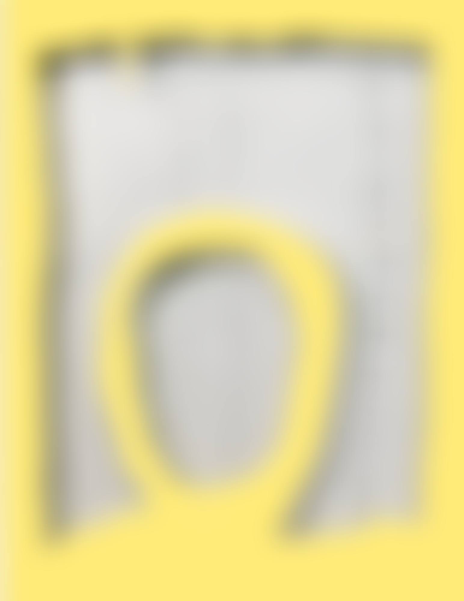 CONCETTO SPAZIALE, TEATRINO�
OIL ON CANVAS, SILVER GREY, AND LAQUERED WOOD, YELLOW. EXECUTED IN 1965 (preview)