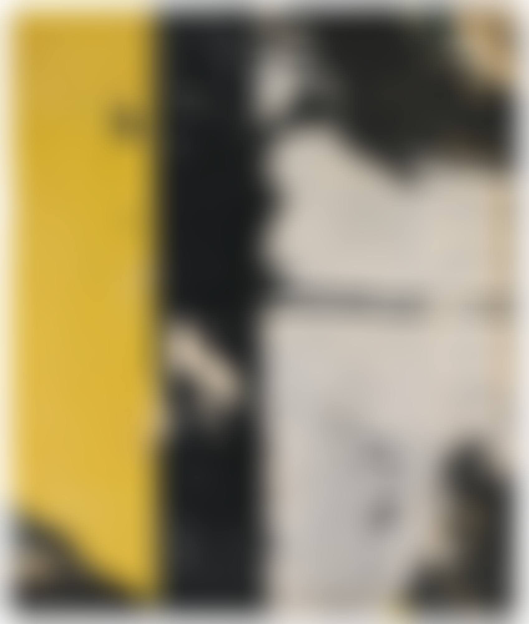 VERTICALE NERO
SIGNED, D�COLLAGE ON CANVAS. EXECUTED IN 1960 (preview)