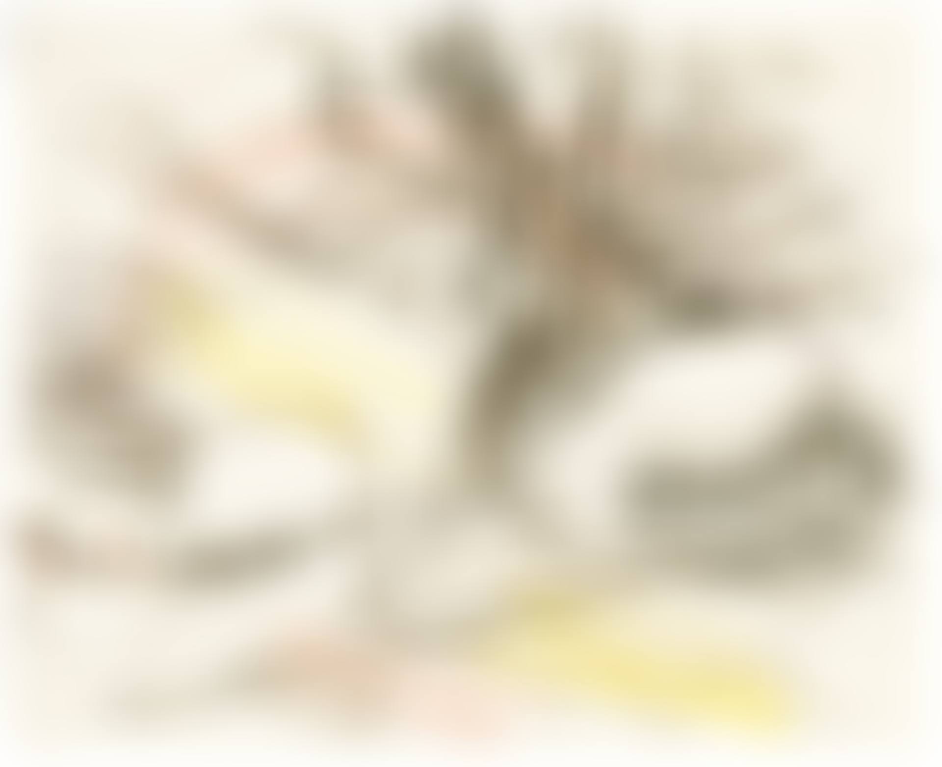 STUDY FOR TREE ON PRIMROSE HILL (III) (preview)