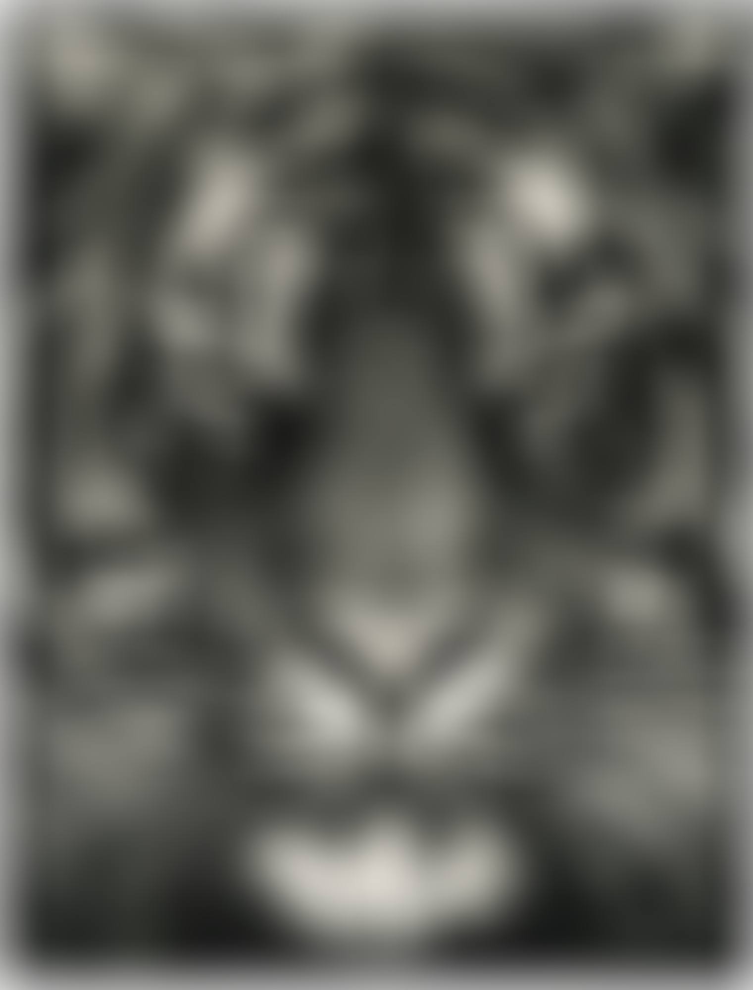UNTITLED (TIGER HEAD, NO. 8) (preview)