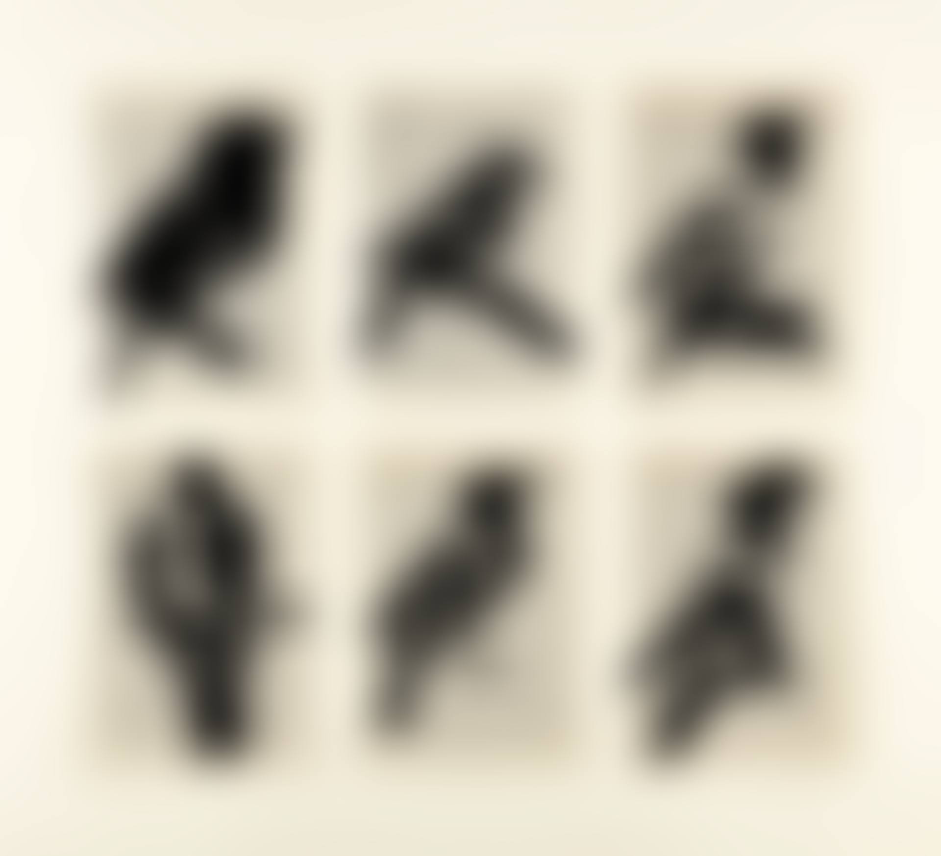 SIX BIRDS (preview)