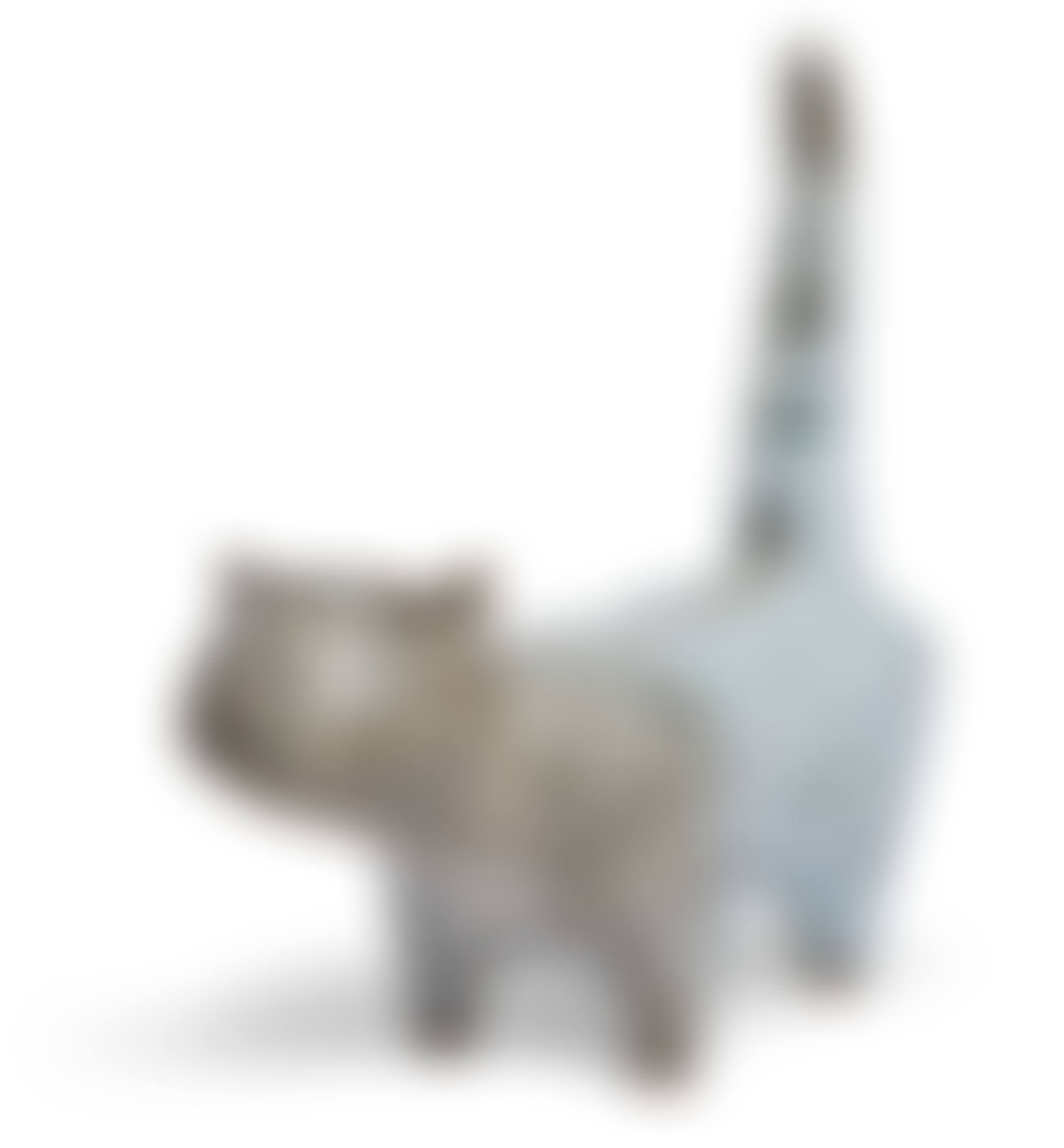 Ceramic Cat (preview)