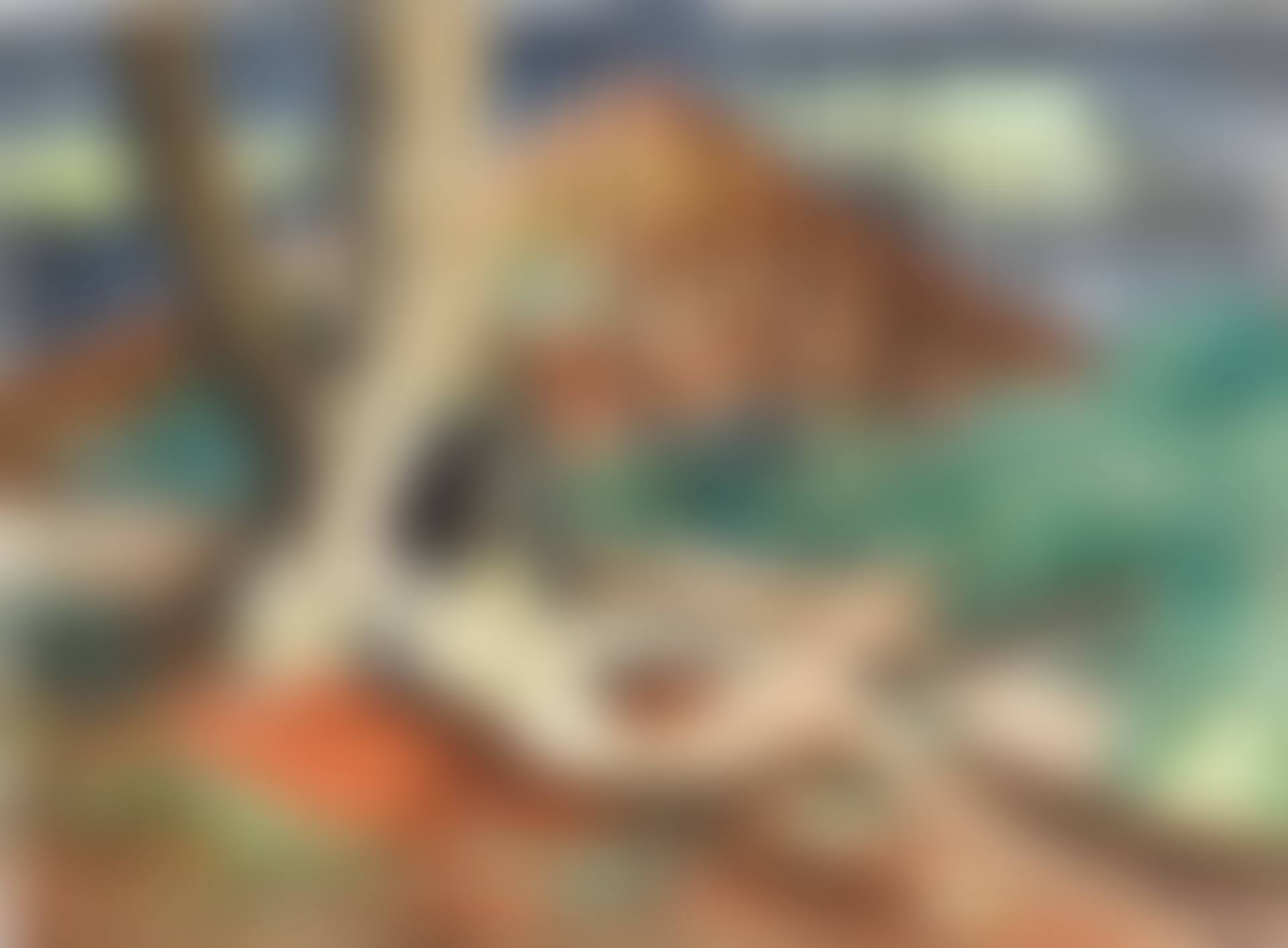 Torn Limb (preview)