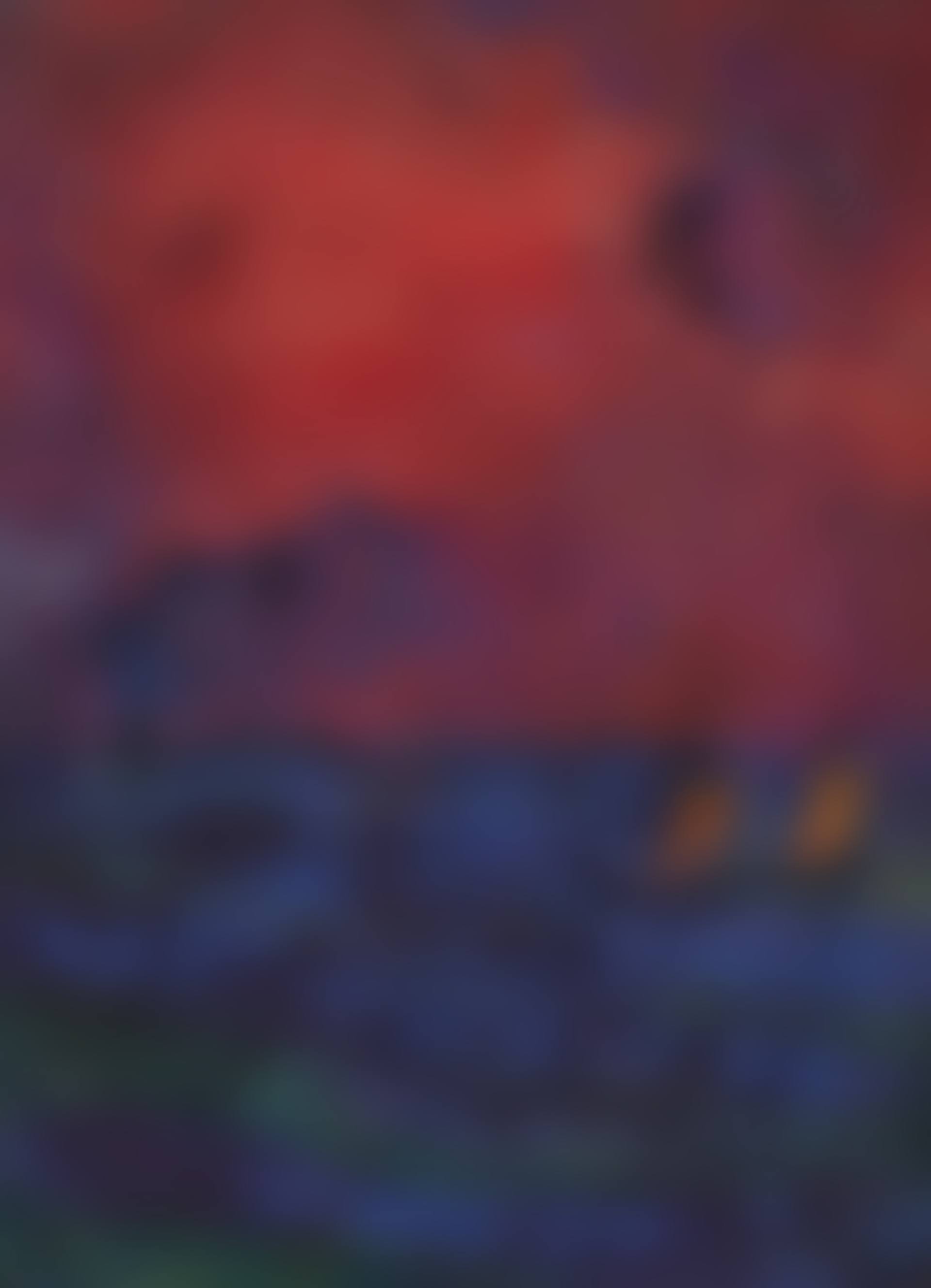 Meer (preview)