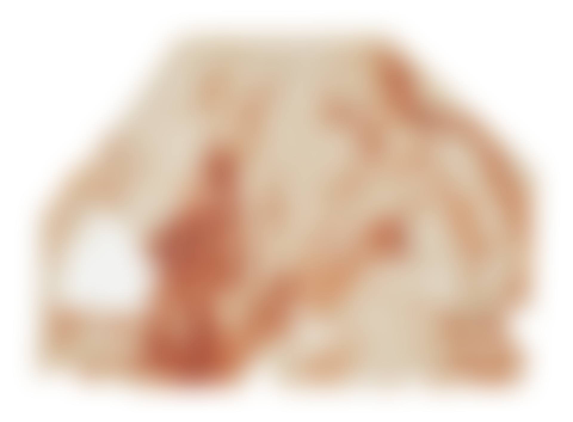 The Holy Family (preview)