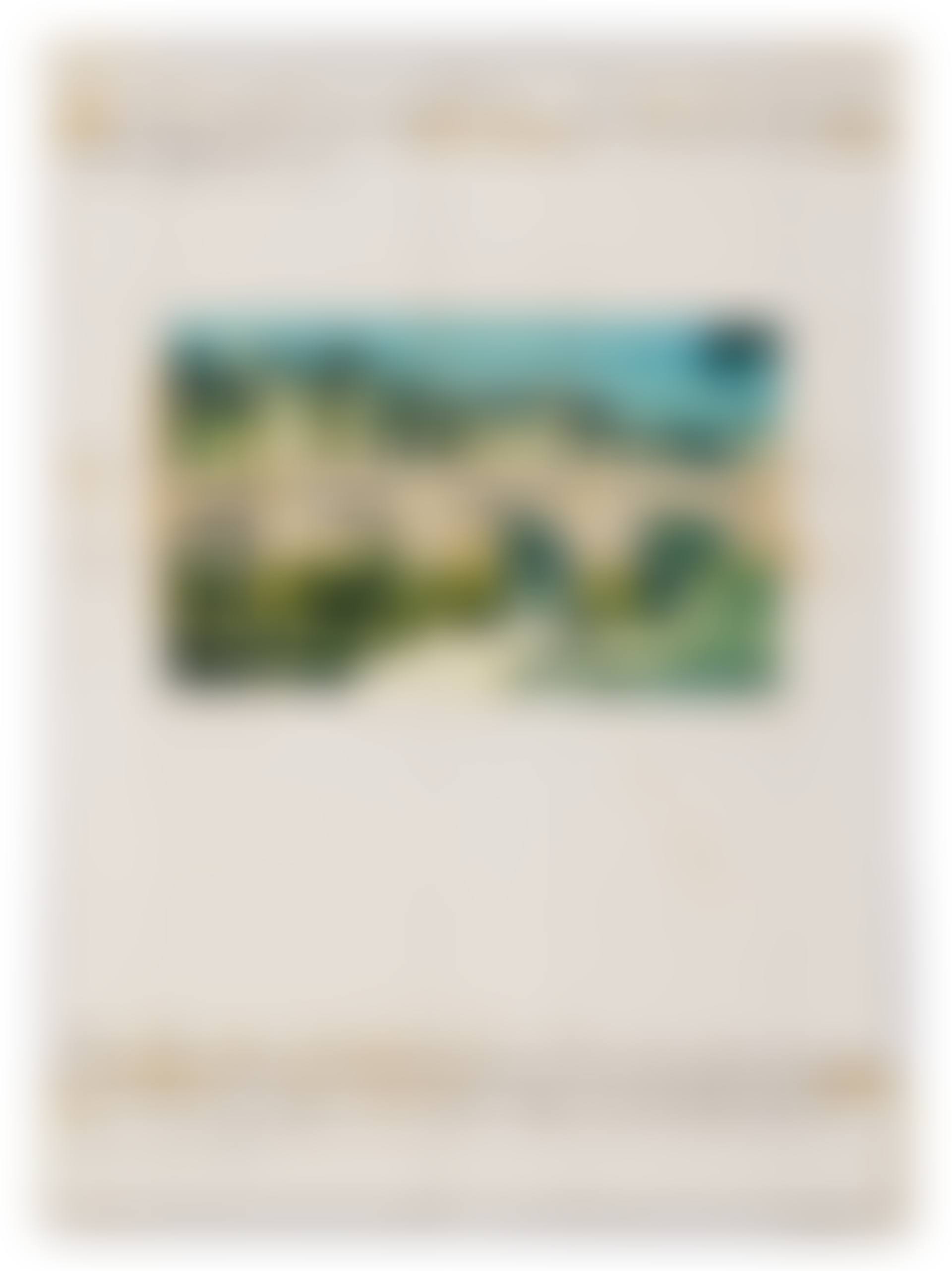 The Pont Neuf Wrapped (Project for Paris) (preview)
