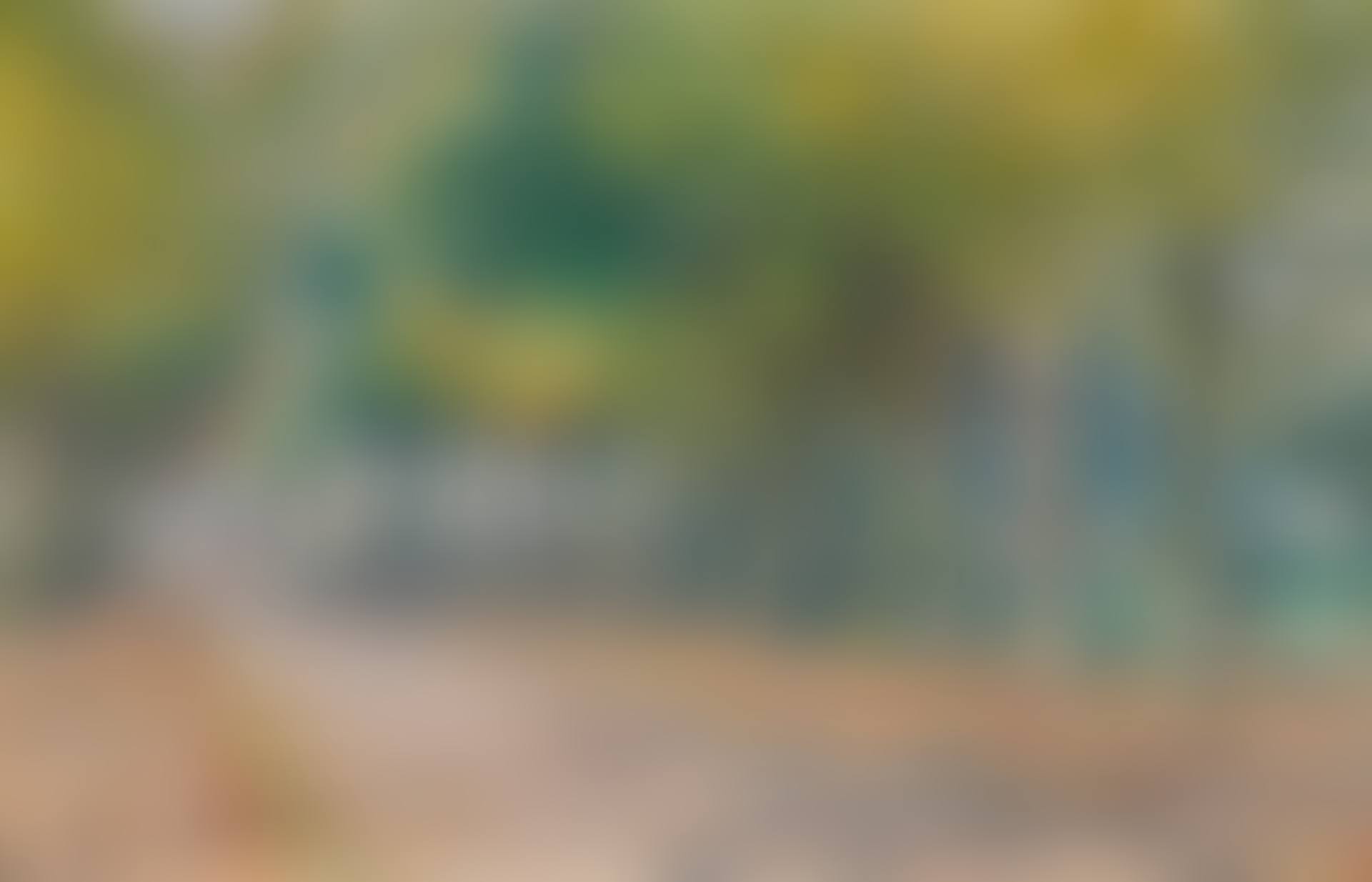 An avenue (preview)