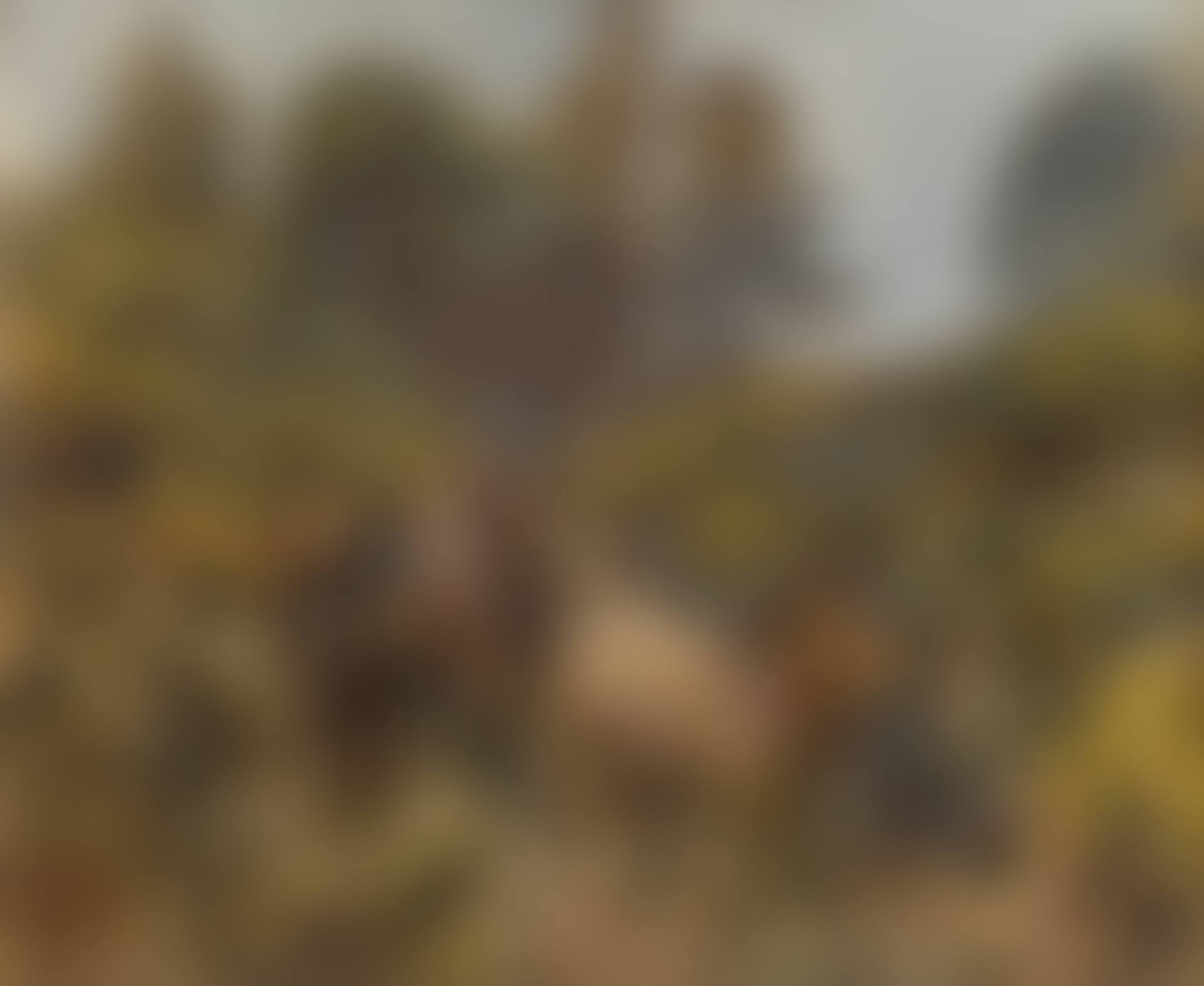 Coming through the gap (preview)