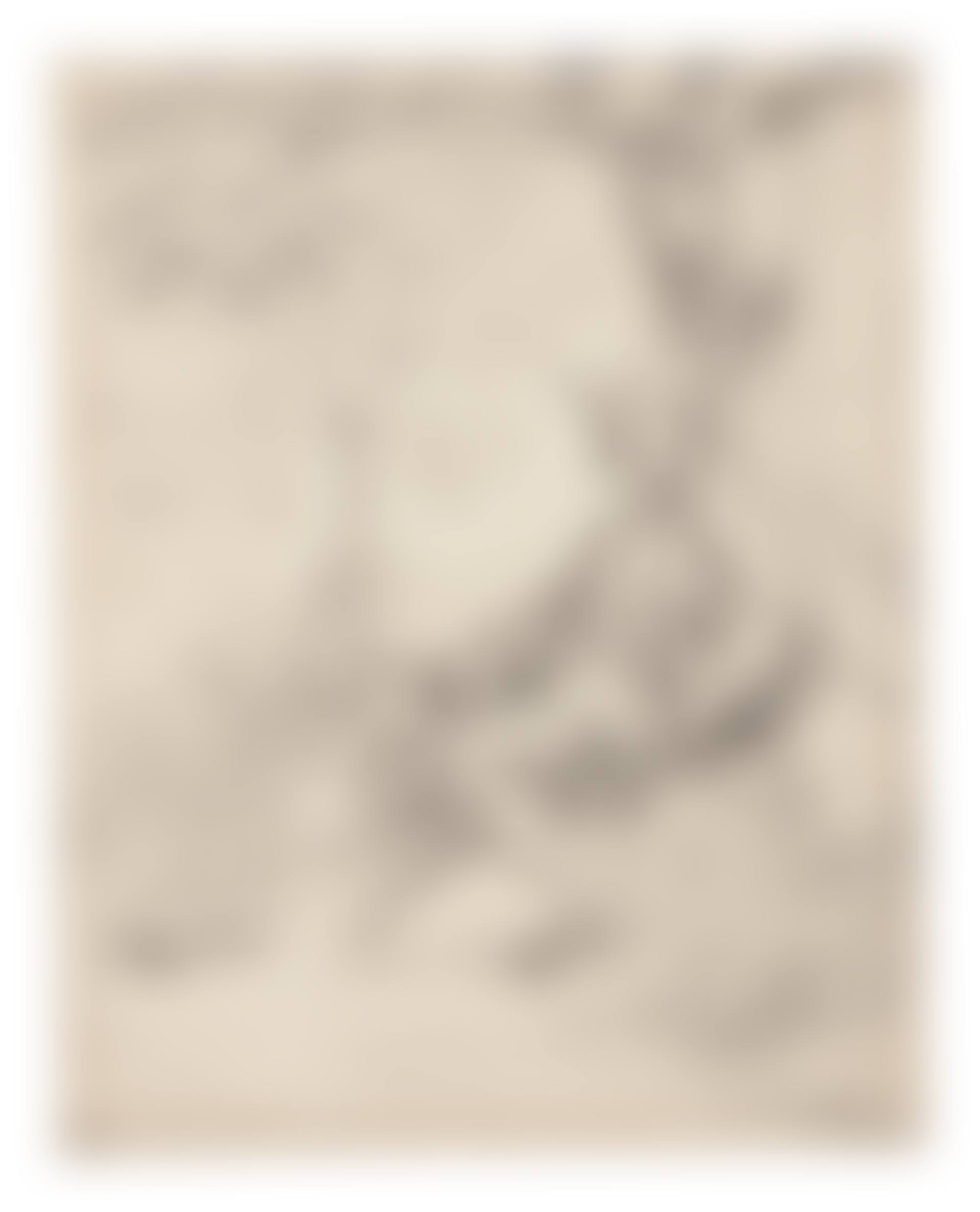 A young man reclining on a bank beneath a tree, possibly a self-portrait (preview)