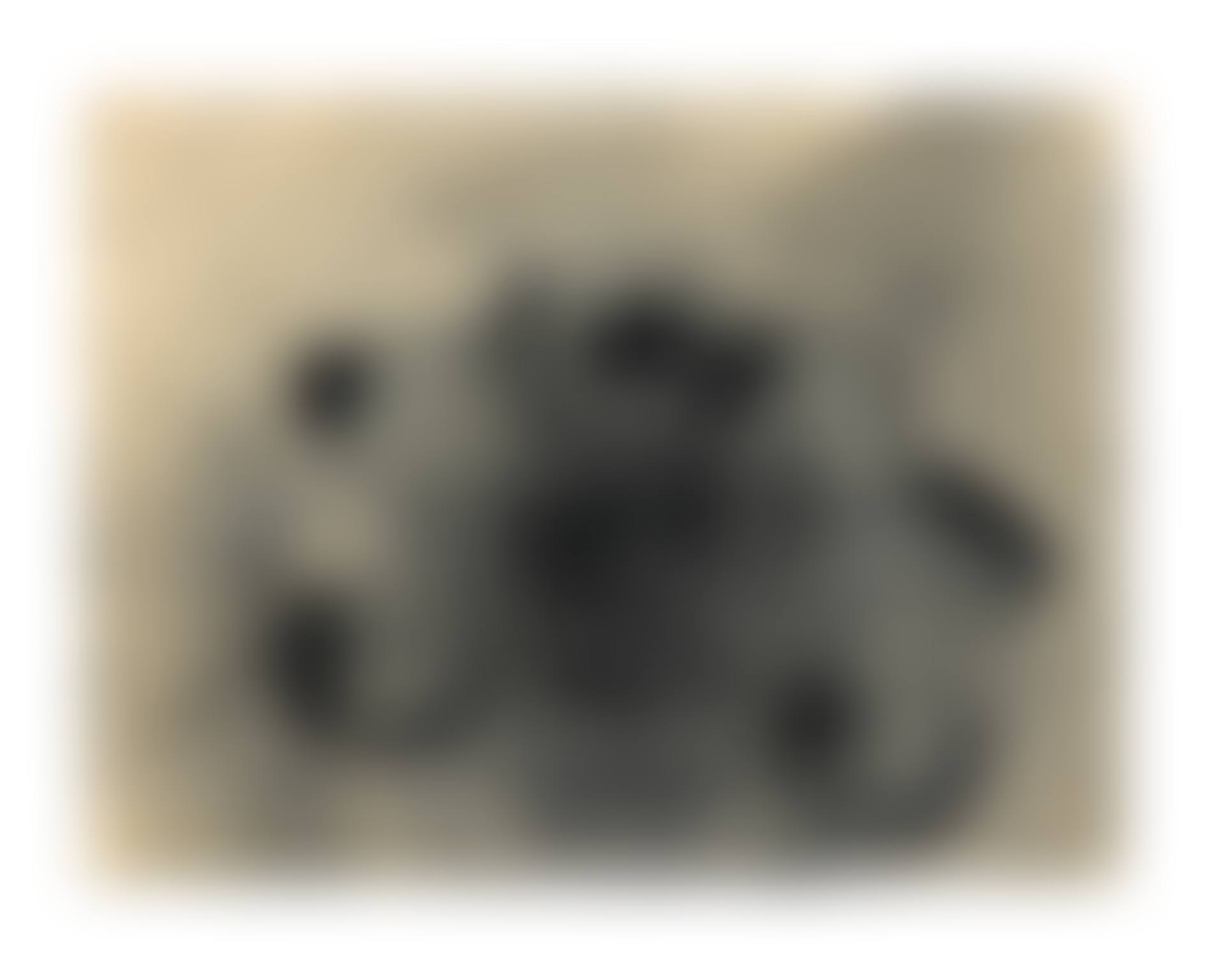 Canaris II (preview)