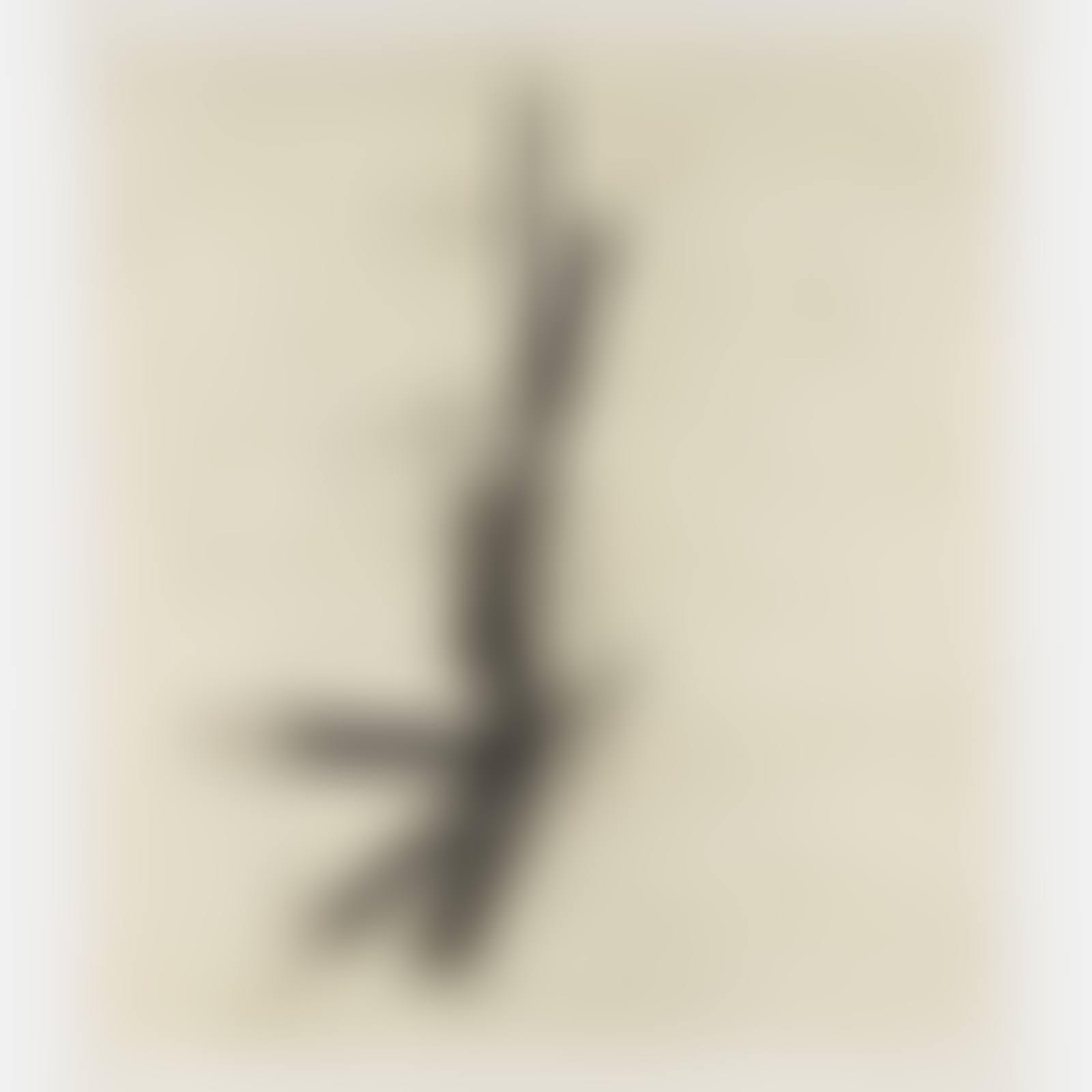 Untitled, 1994 (preview)
