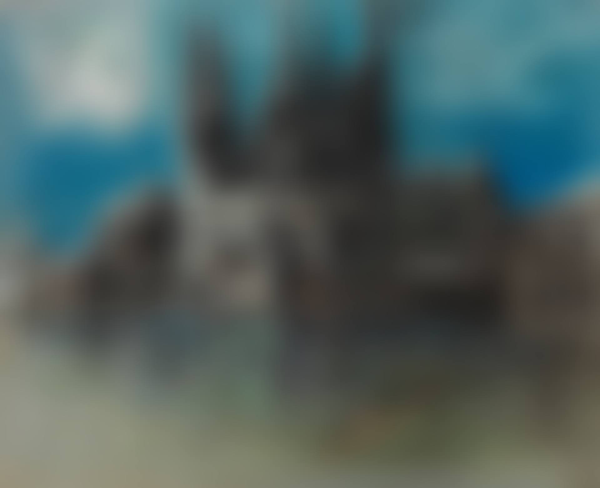 The Moonlight Sonata (preview)