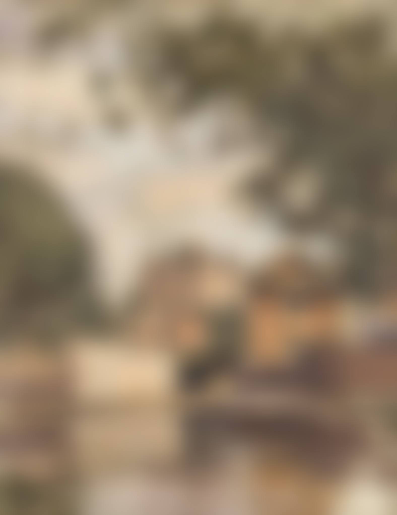 The Paddington Canal (preview)