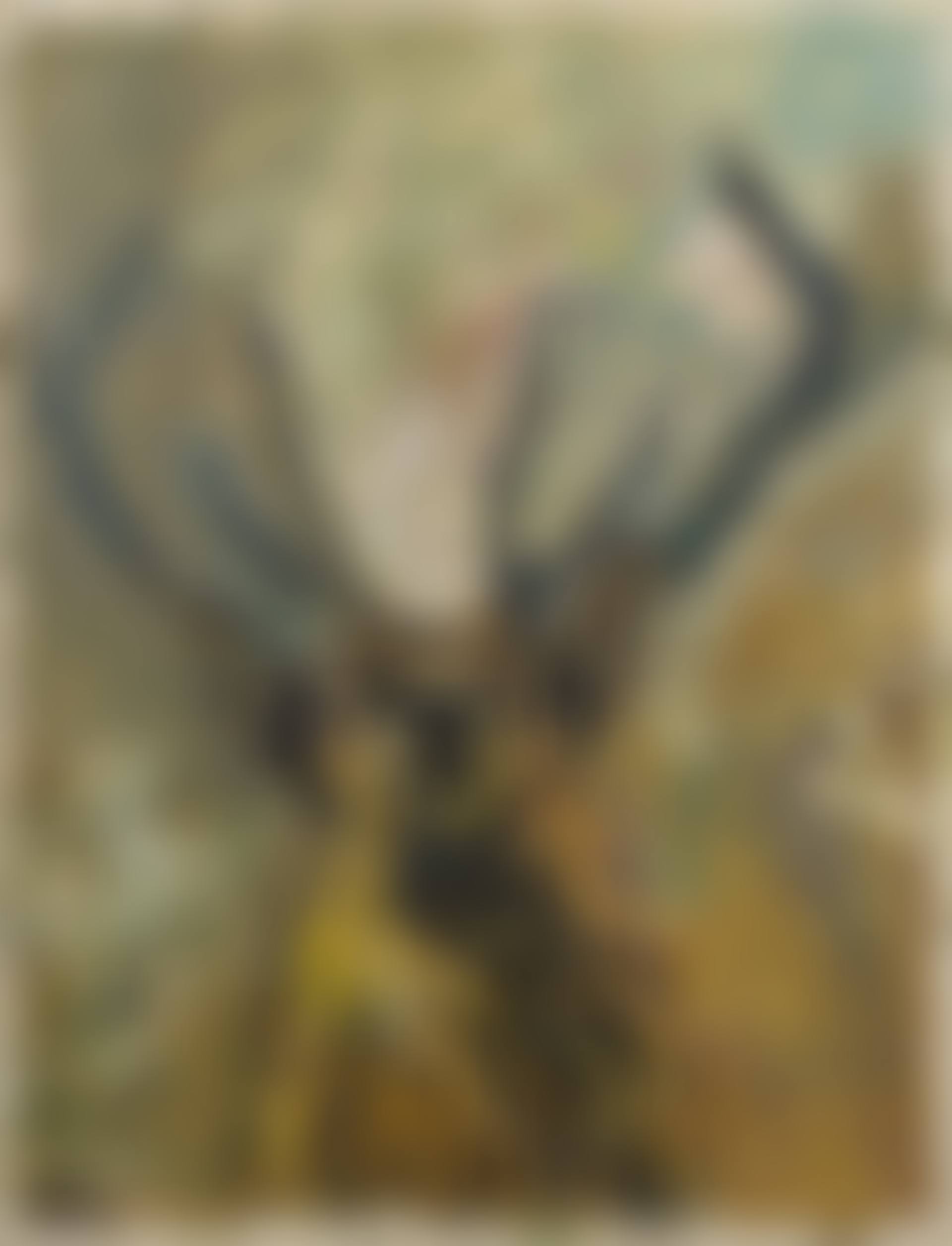 Stag Partly (preview)