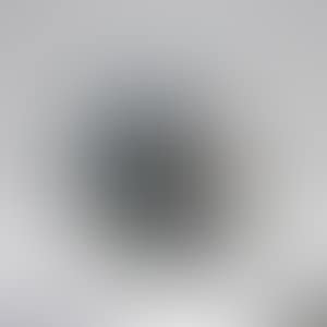 TELEXISTENCE (preview)