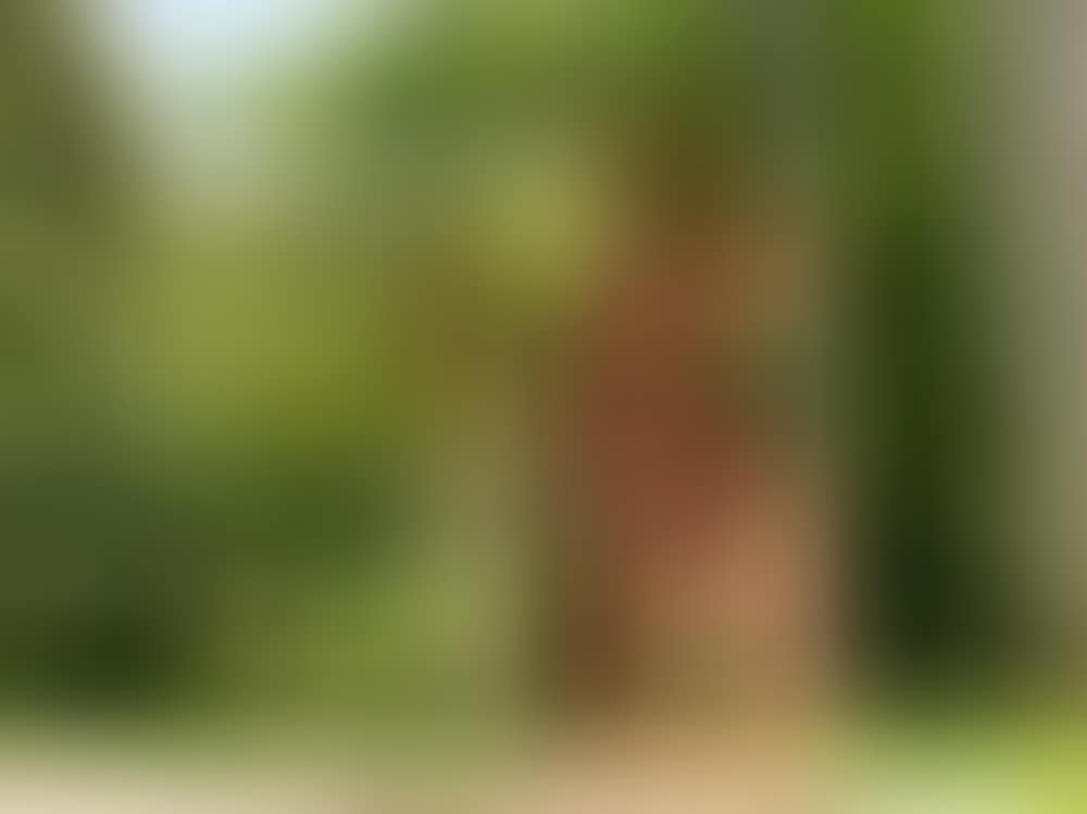 Lolita square (preview)