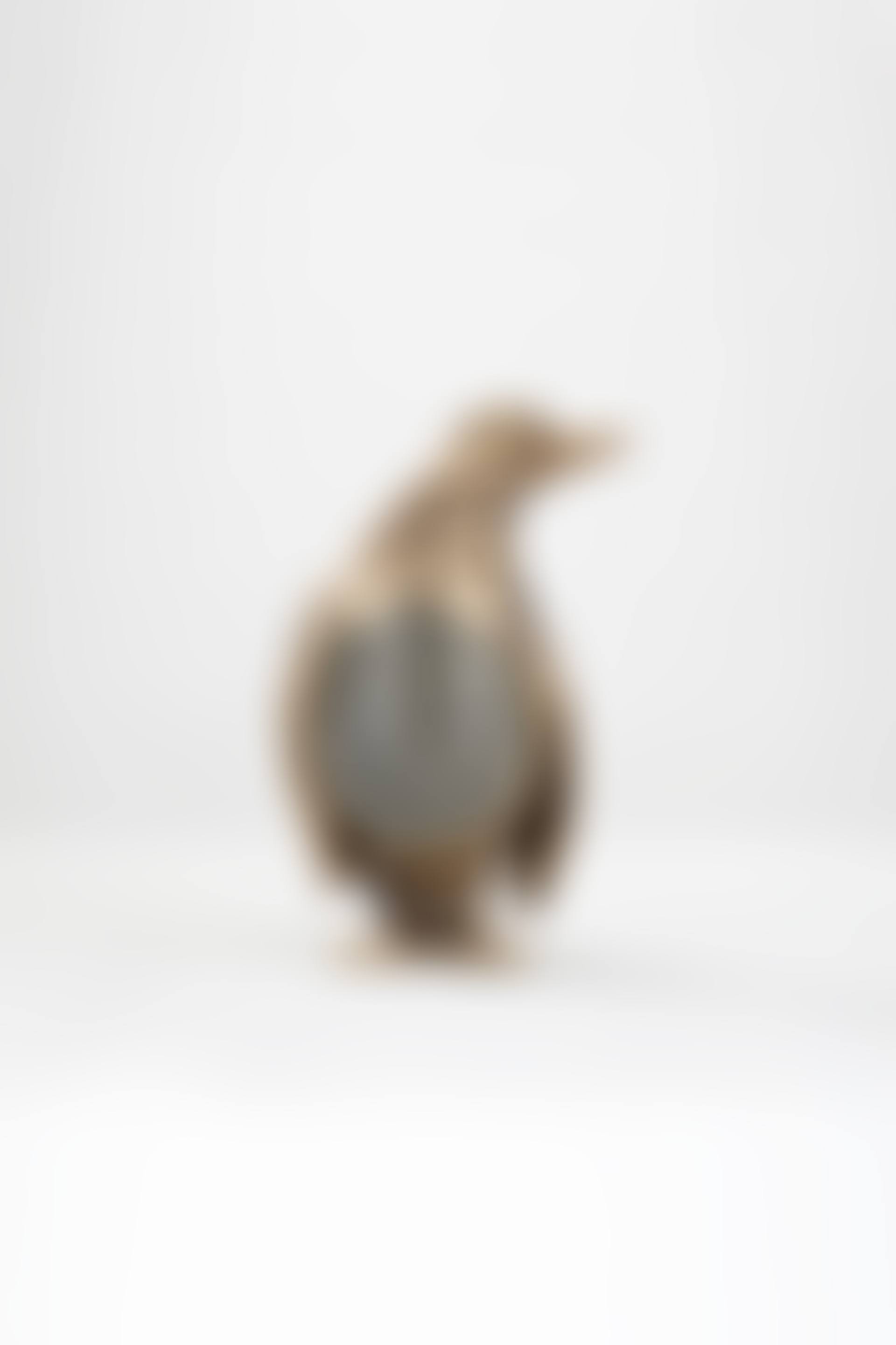 Pingouin (preview)