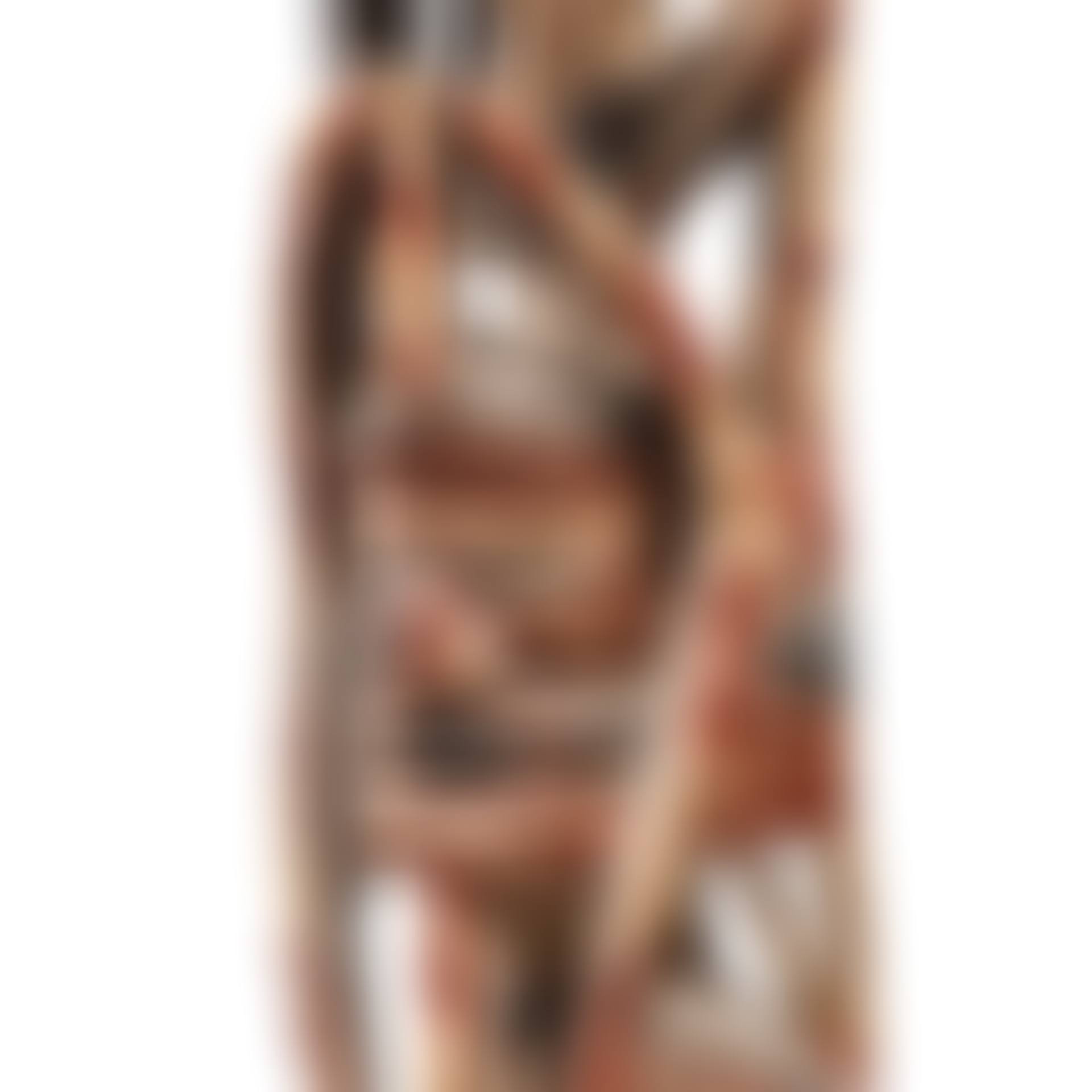 Malangan Frieze, New-Ireland, Bismarck Archipelago (preview)