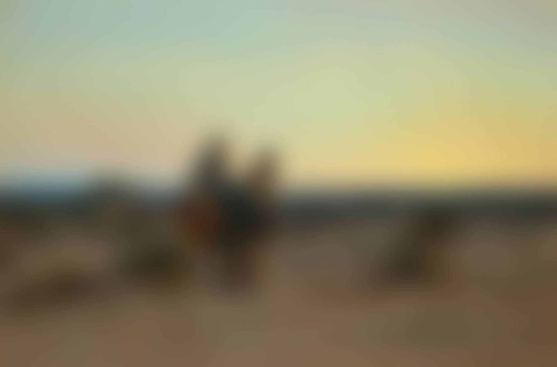 The flight into Egypt (preview)
