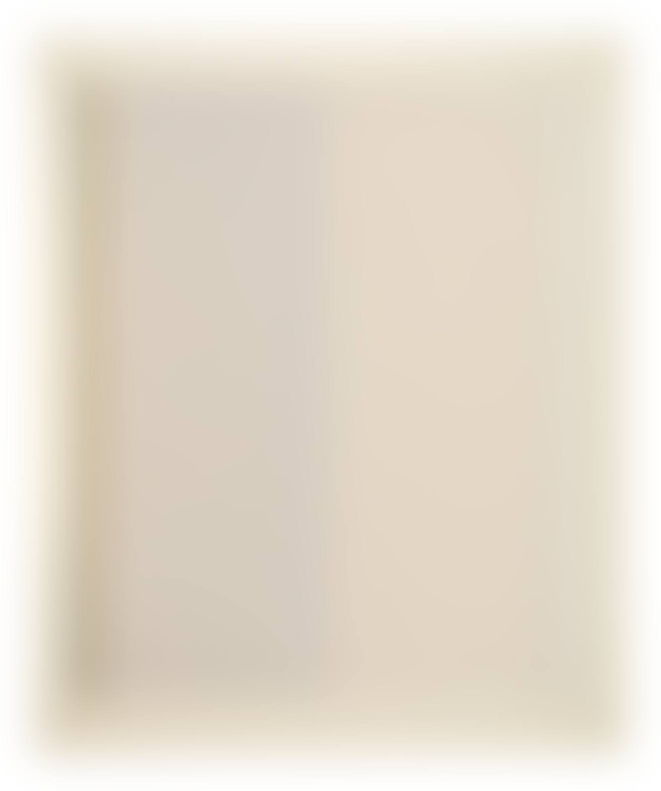 Homage to Barnett Newman (preview)