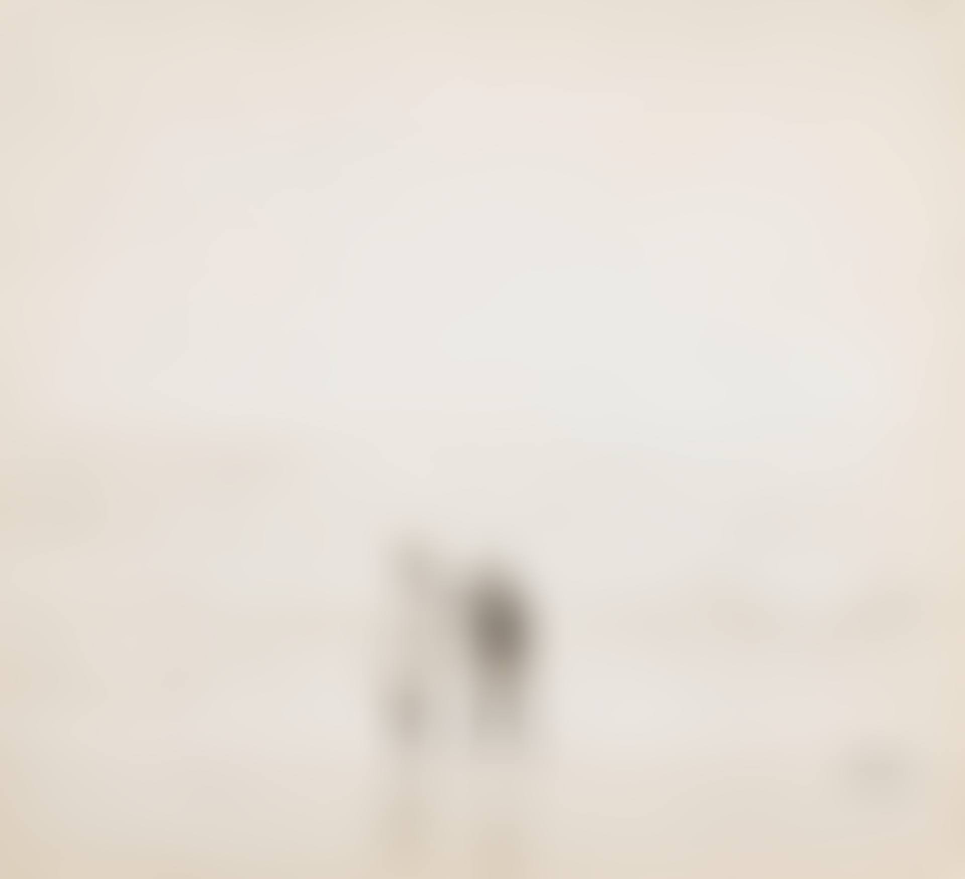 René Robert Bouché and Denise Lawson-Johnston on the Beach (preview)