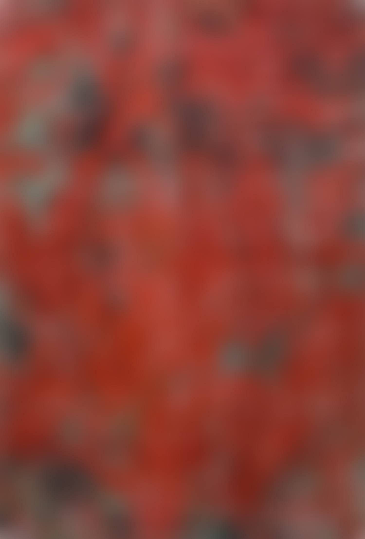 Untitled (SK-SU) (preview)