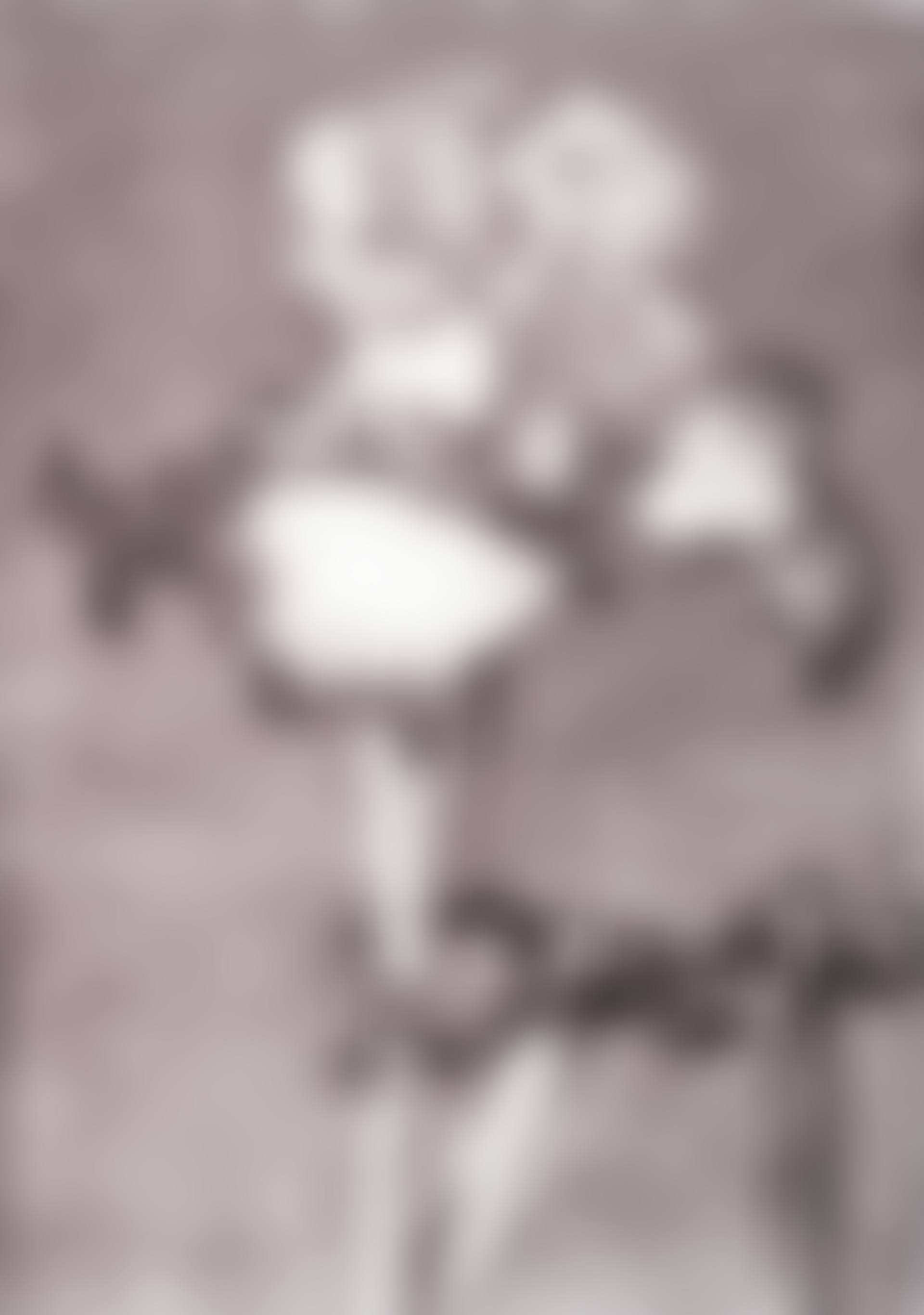 Iris II (in Clamp) (preview)