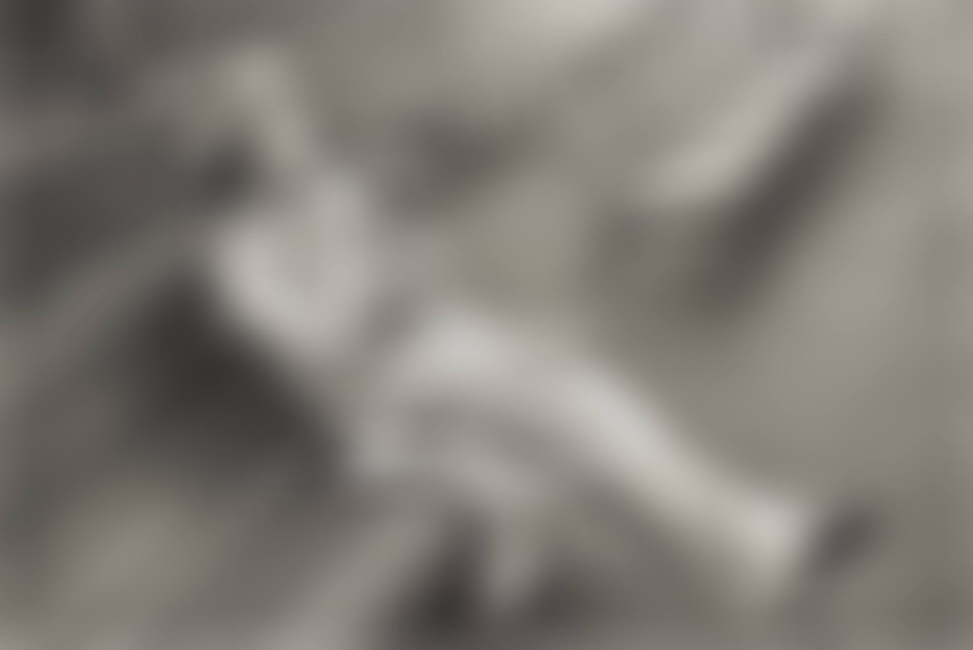 Hyde Park in the Grey Drizzle, London (preview)