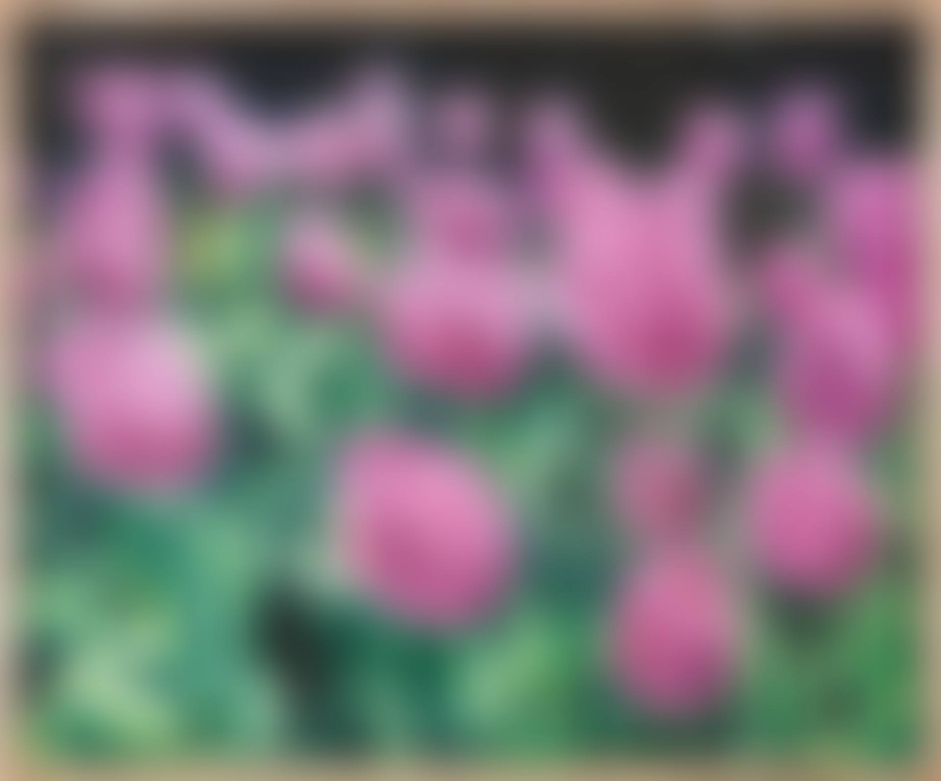 Wildflowers 02 (preview)