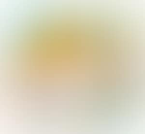 For Colors of Life Project (preview)