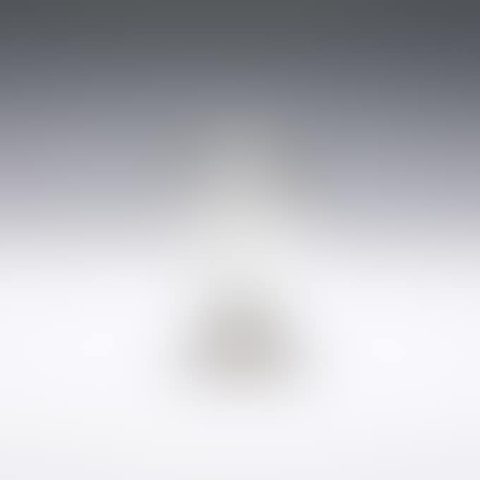 FLORAL VASE (preview)